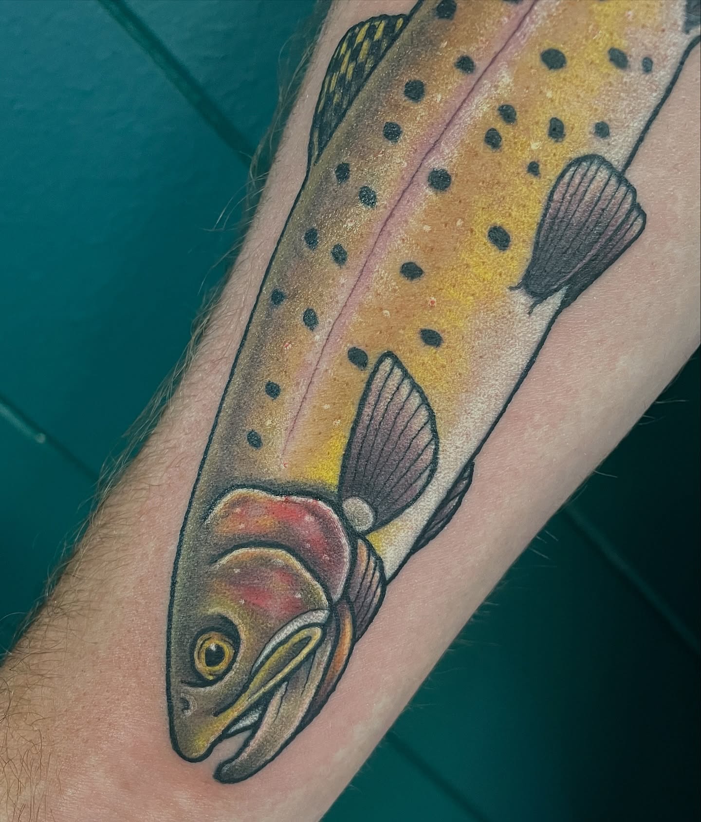Rainbow trout realism tattoo on the forearm by πΌπ
ππΎπππππ