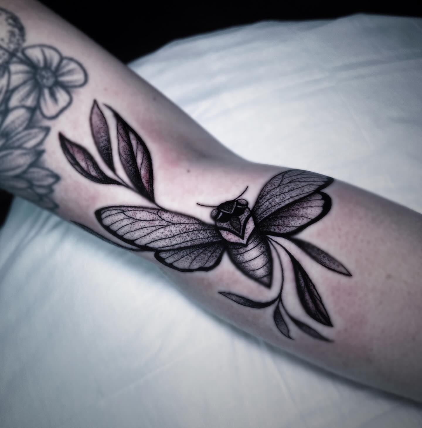 Moth black and grey tattoo on the forearm by 🕸 ᴠɪᴠɪᴀɴ ʟᴏʀᴇ 🕸, Nashville, Tennessee