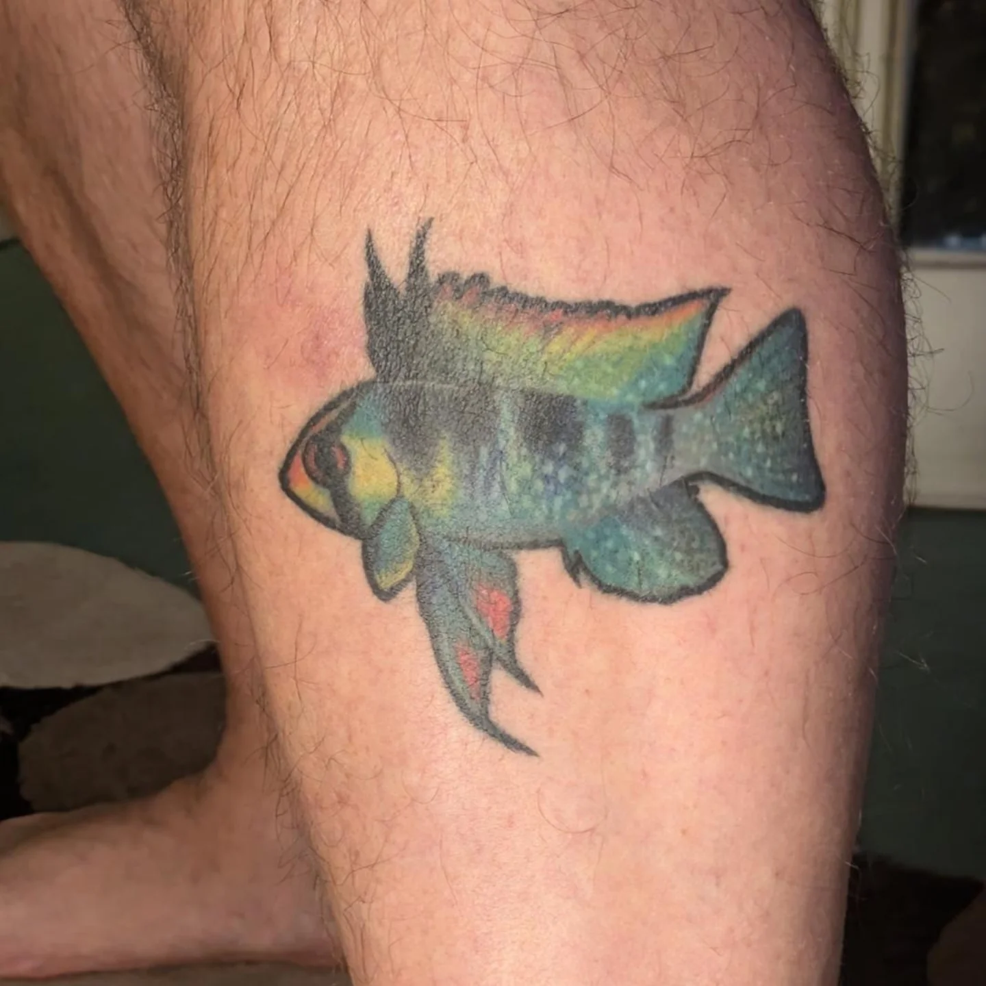 Fish watercolor tattoo on the leg by Ayla Stone, Salt Lake City, Utah