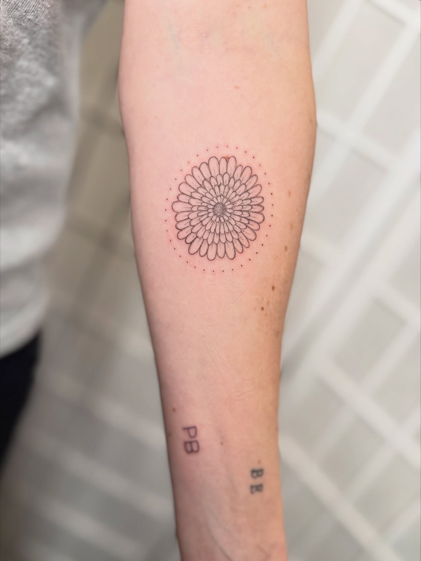 Geometric mandala dotwork tattoo on the forearm by Dama