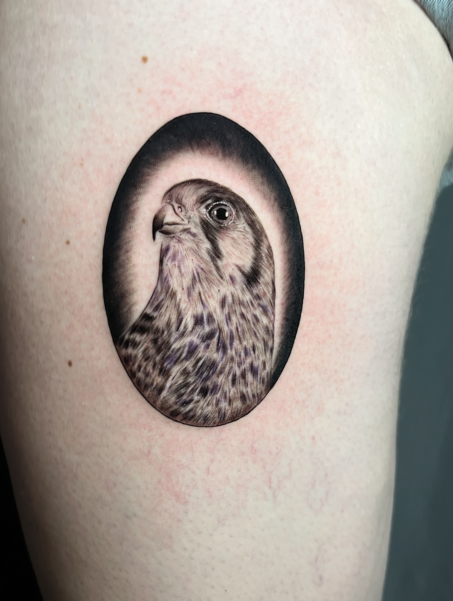 Hawk realism tattoo on the thigh by Jen Rahman