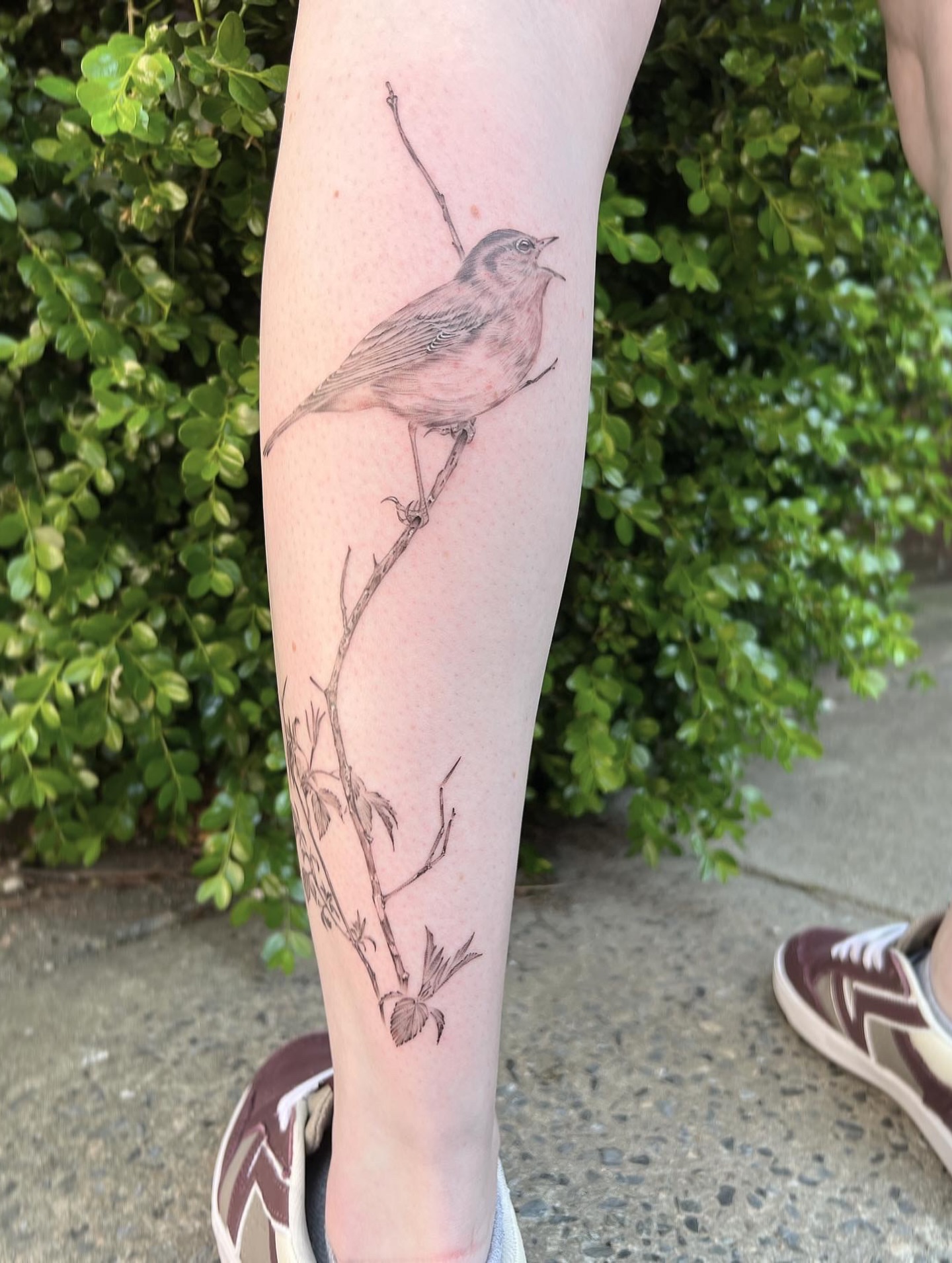 Bird perched on branch realism tattoo on the forearm by Jen Rahman