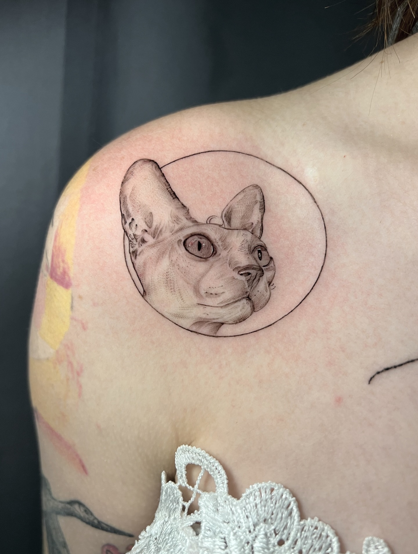 Cat realism tattoo on the shoulder by Jen Rahman