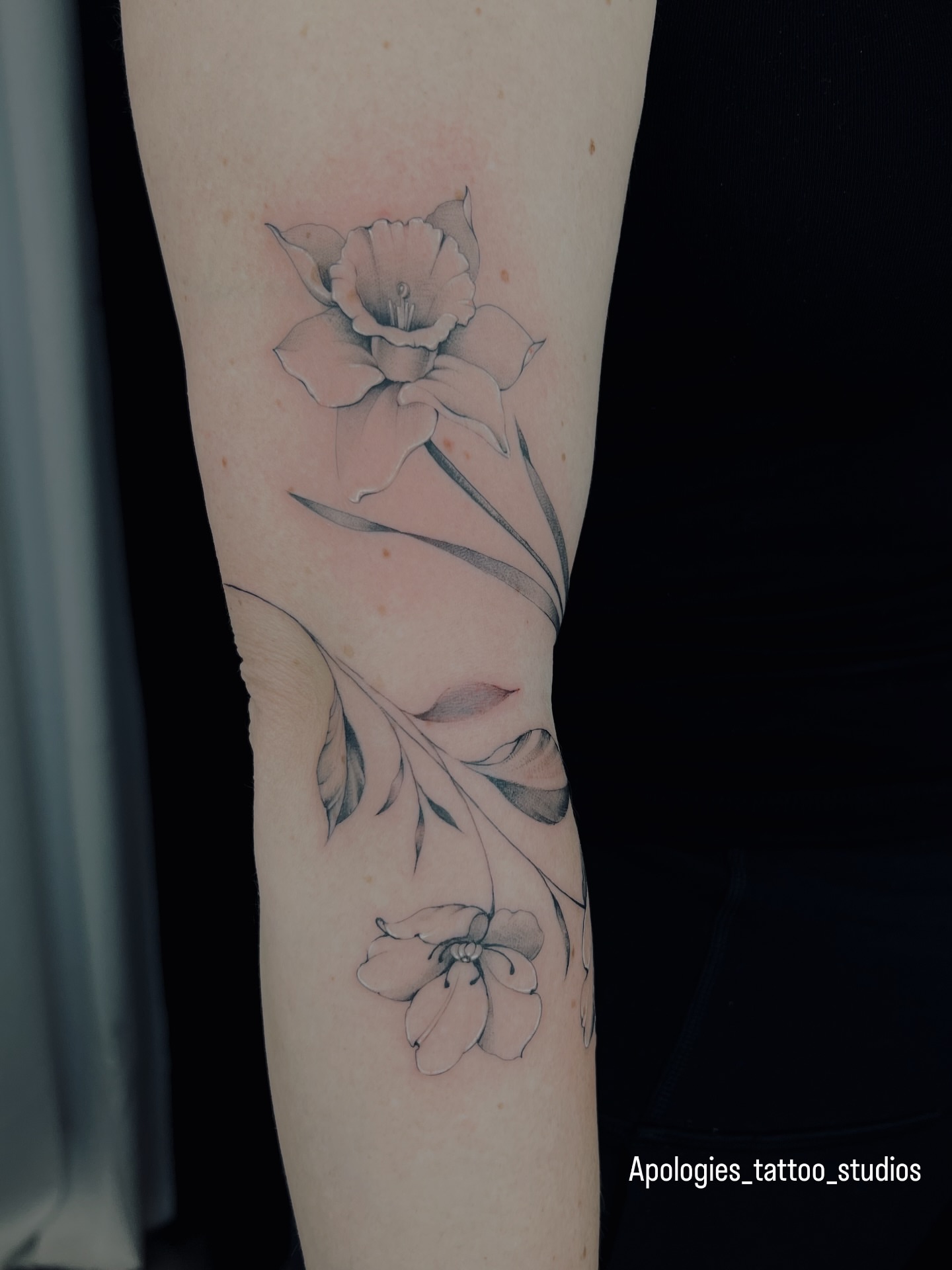 Tattoo by @apologies_tattoo_studios — black_and_grey