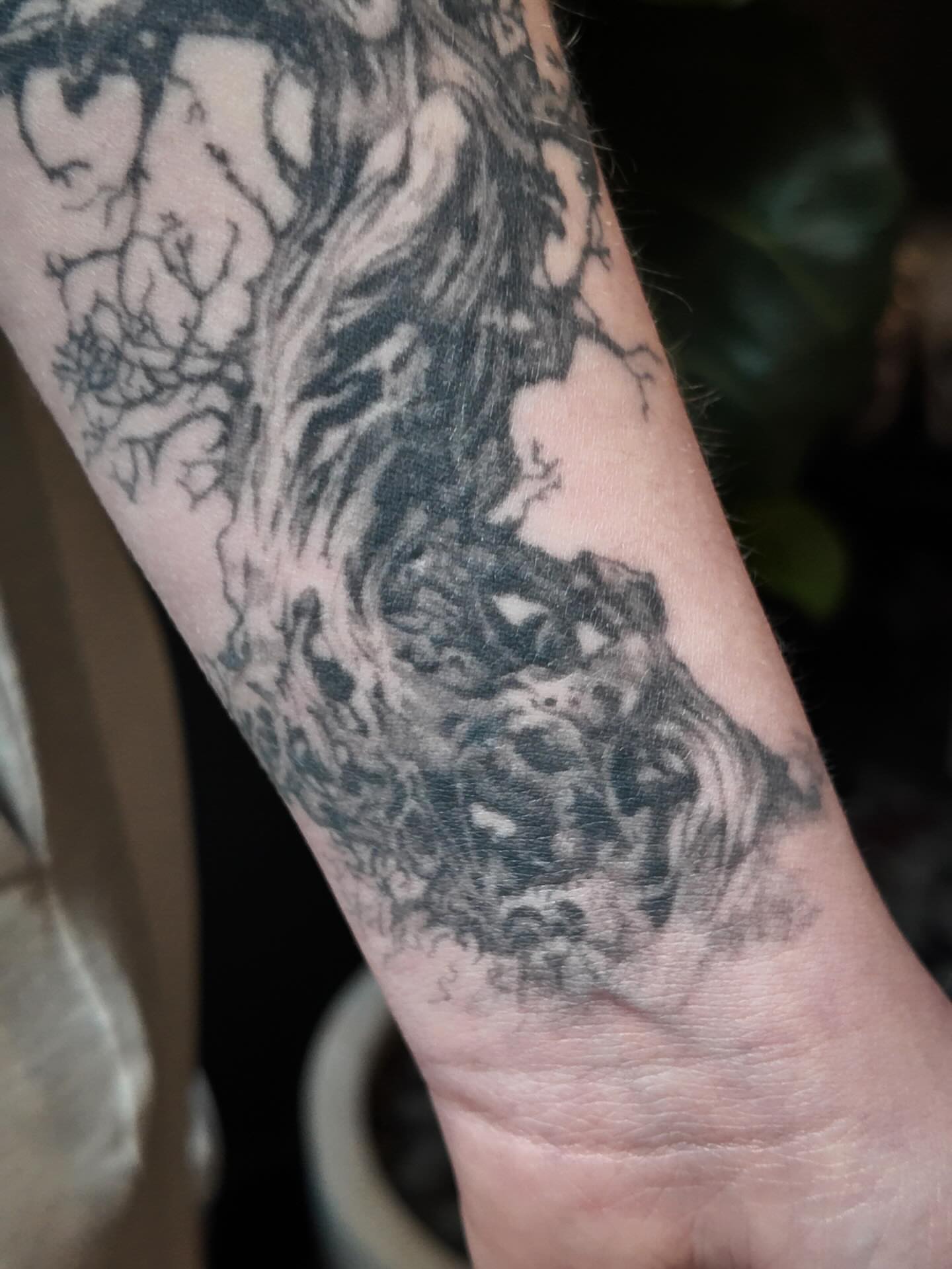 Abstract tree black and grey tattoo on the forearm by Ben Cisek
