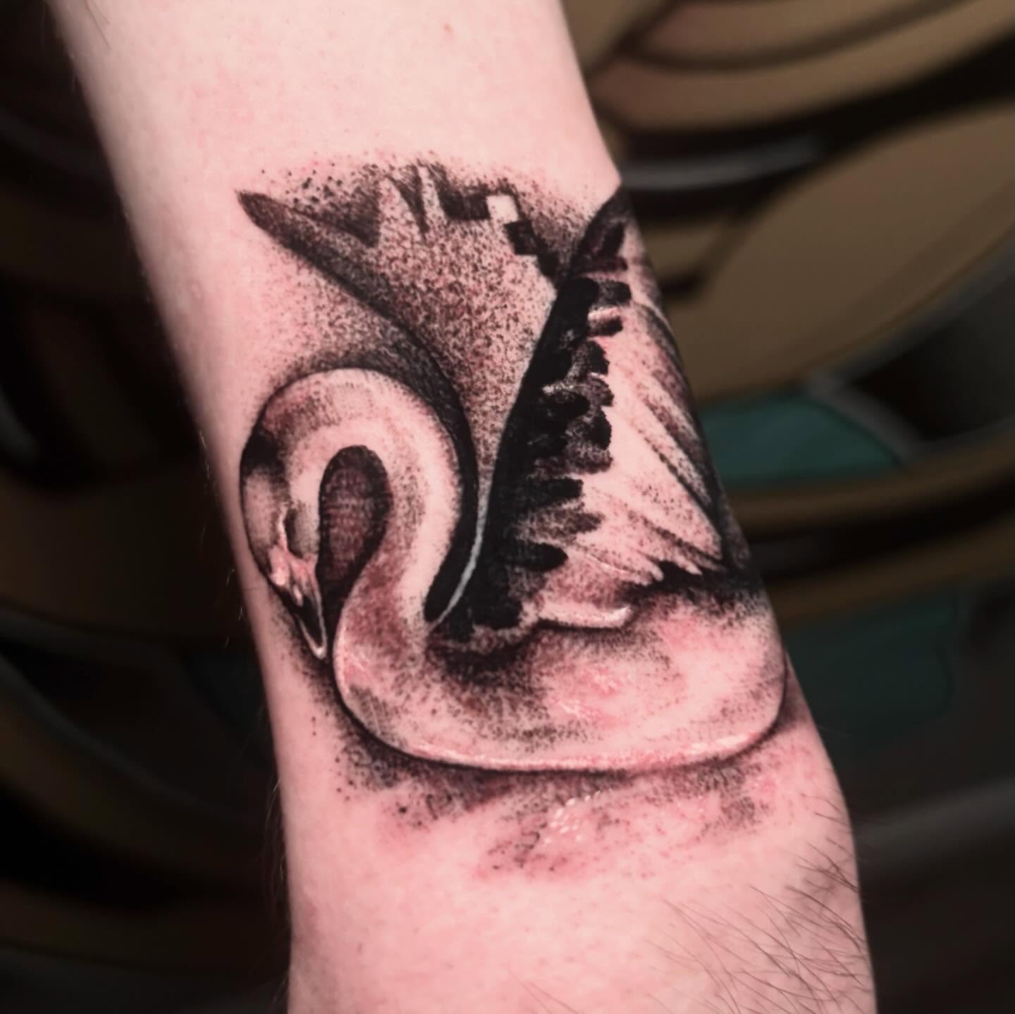 Swan dotwork tattoo on the forearm by Alle