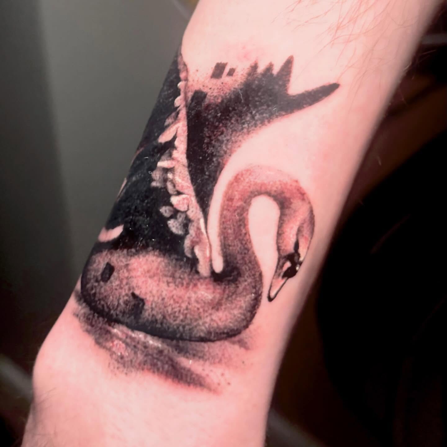 Snake dotwork tattoo on the forearm by Alle
