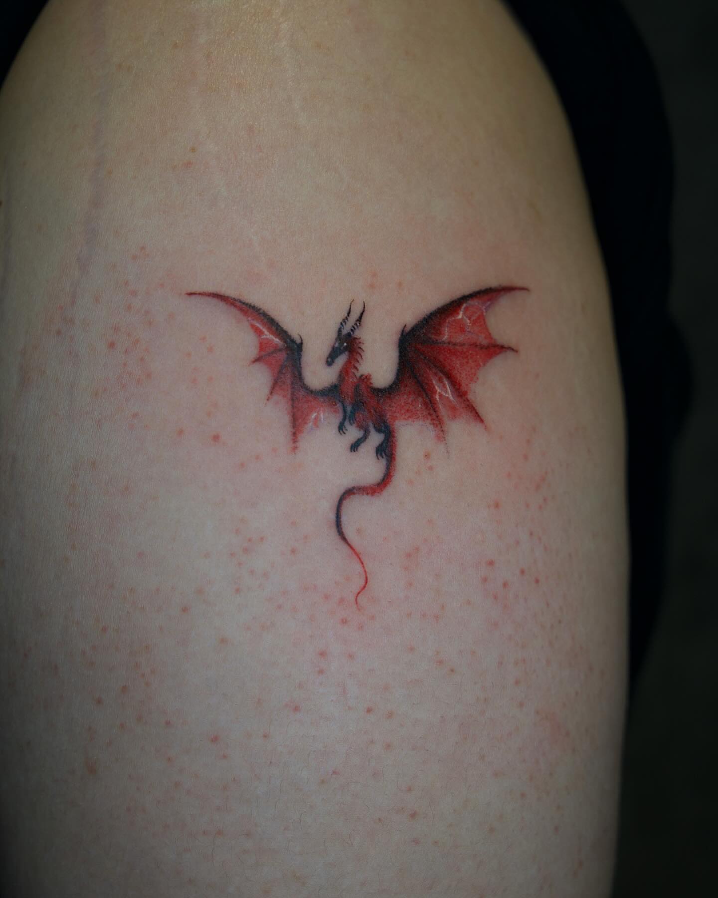 Tattoo by @tattooist_lionel β dotwork