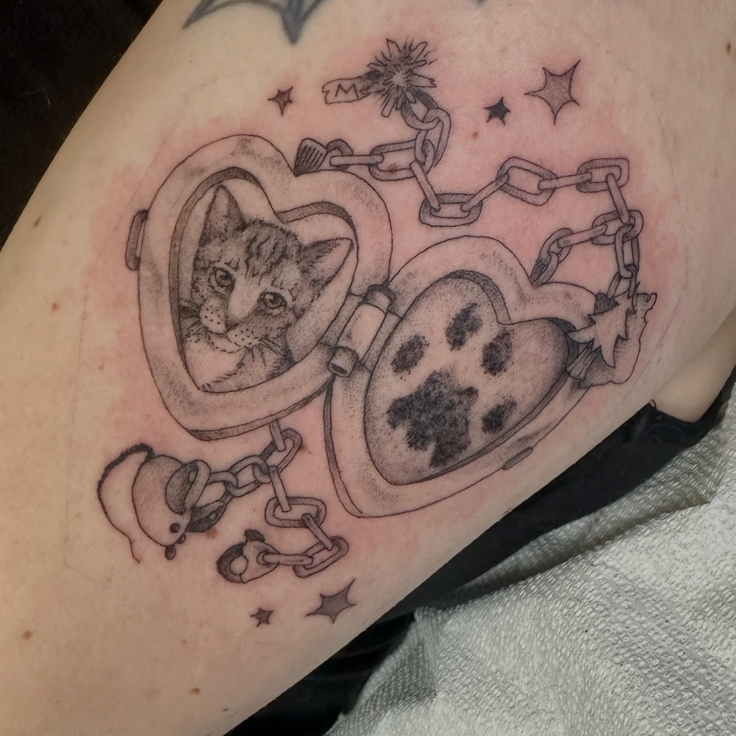 Cat in heart realism tattoo on the forearm by Luisa Gonzalez, Austin, Texas