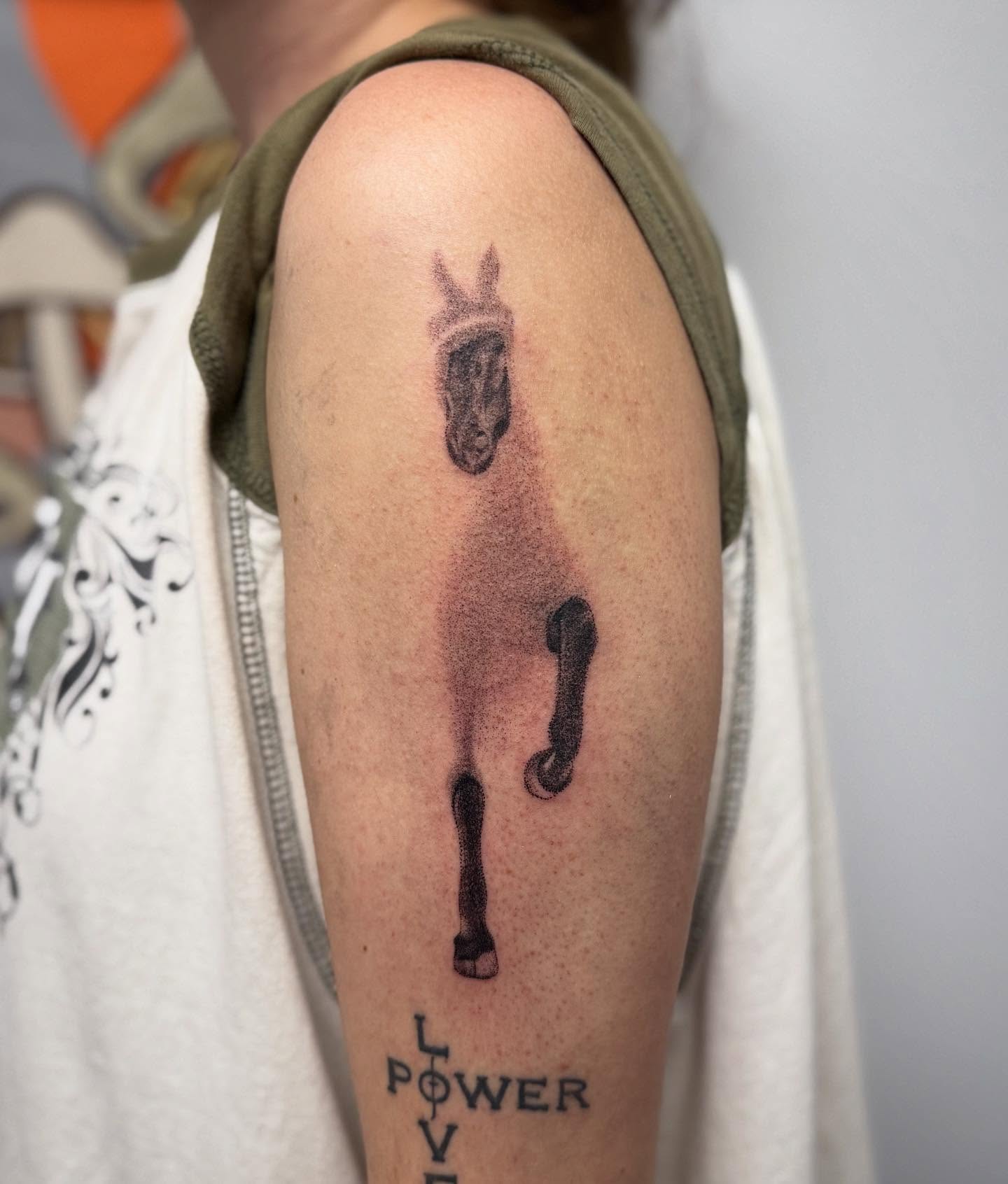 Horse black and grey tattoo on the upper arm by KT