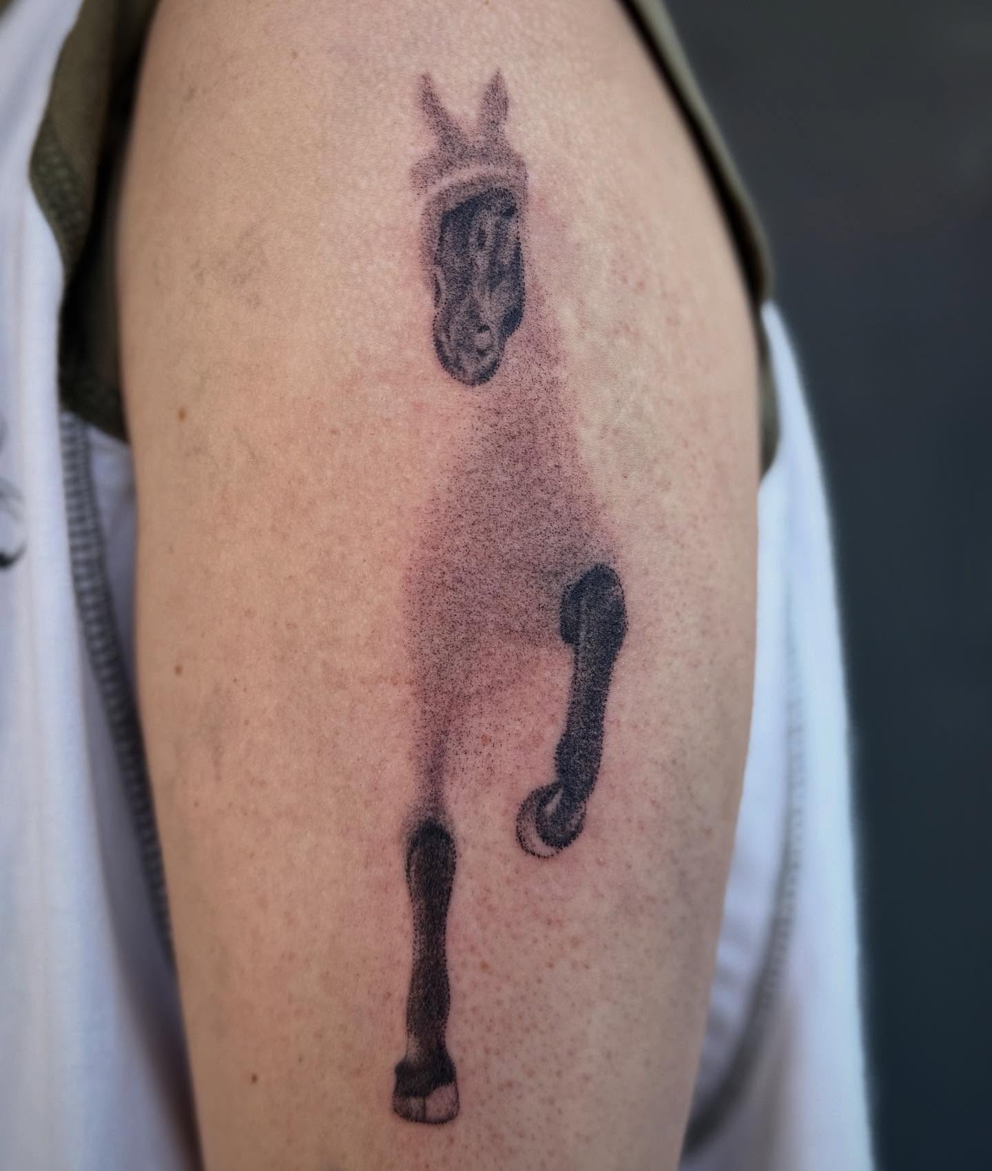 Tattoo by @ktea_and_tattoos — dotwork