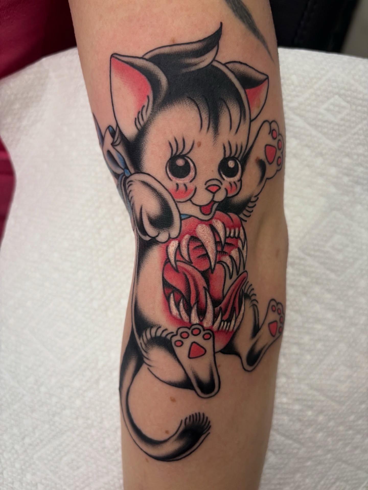 Kitten American traditional tattoo on the forearm by Nori