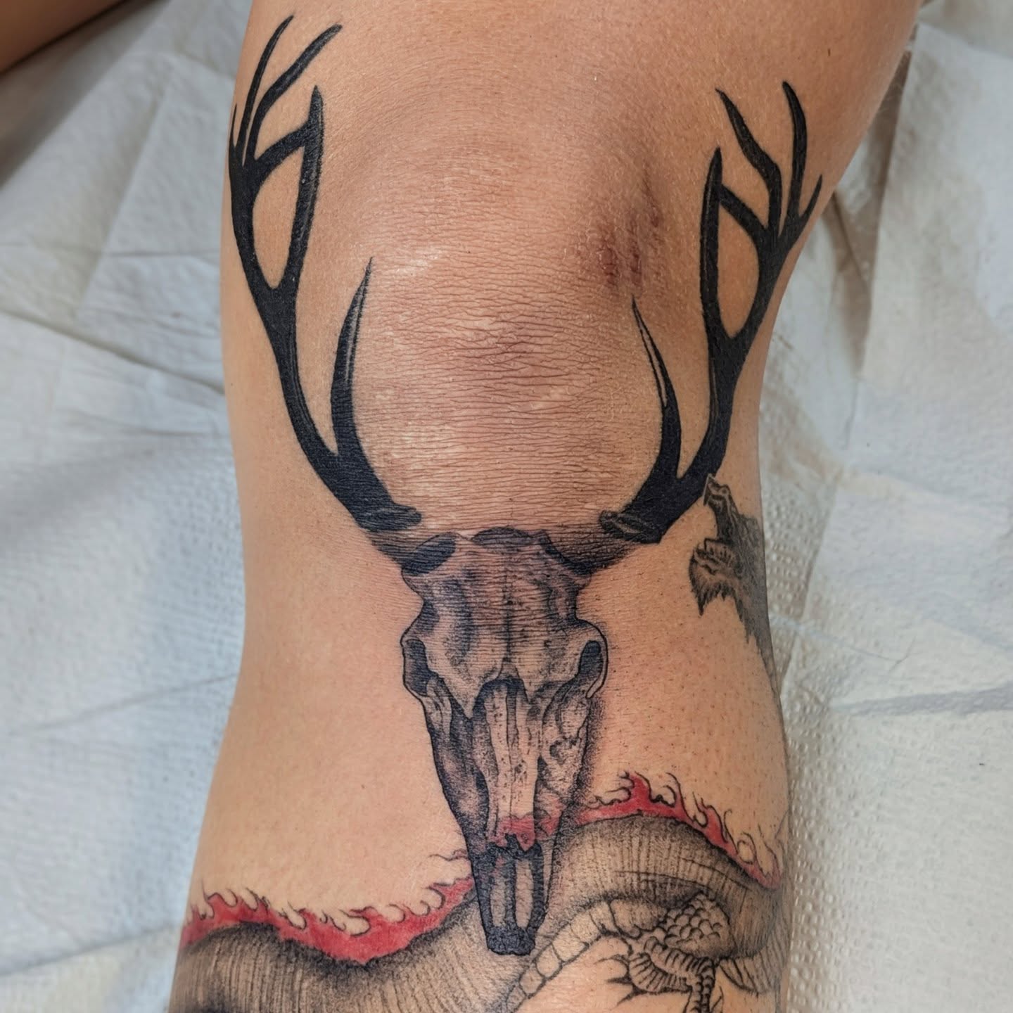Deer skull realism tattoo on the forearm by DONEL 📍Denver