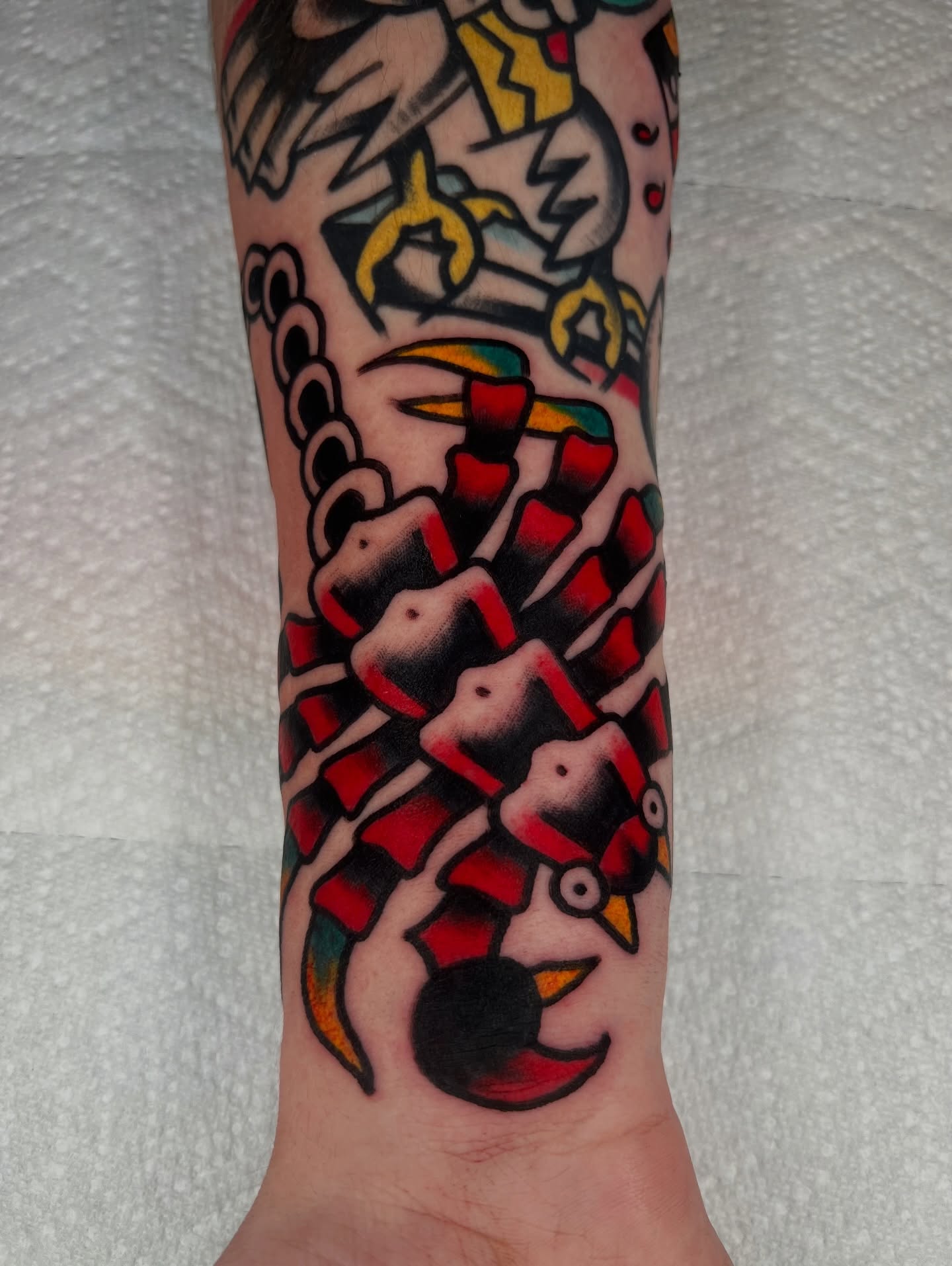 Serpent American traditional tattoo on the forearm by Like A Horse Corral