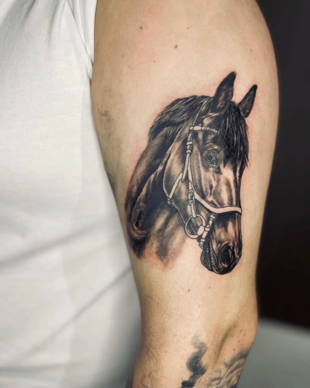 Horse head realism tattoo on the forearm by Mauricio gois