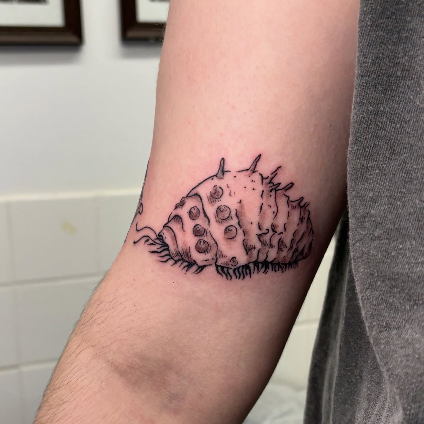 Tattoo by @mushypokes — dotwork