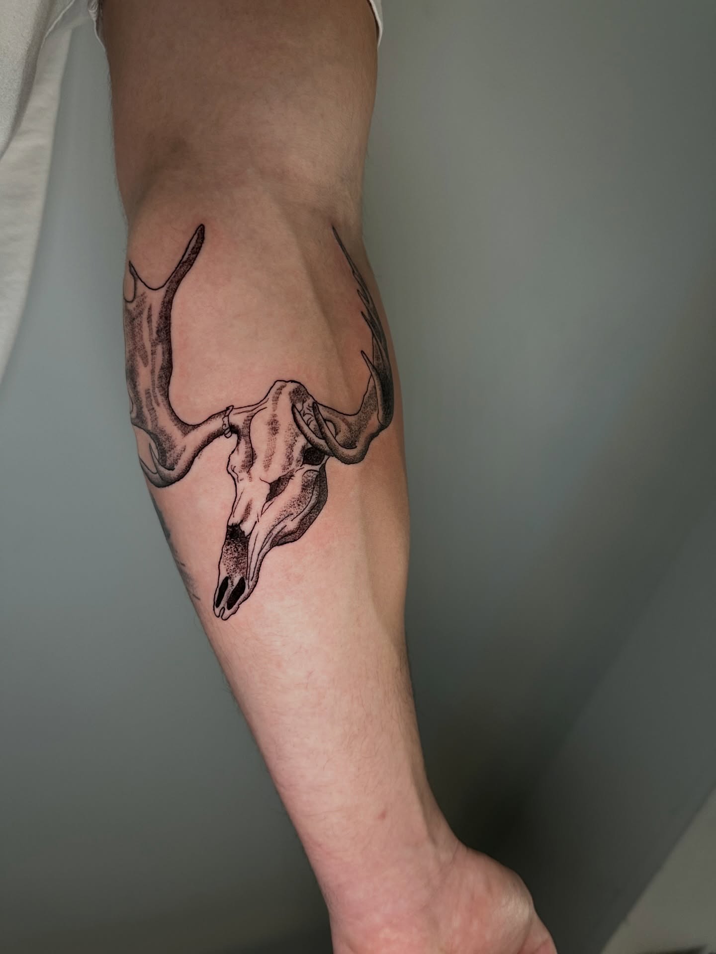 Deer skull black and grey tattoo on the forearm by AJ