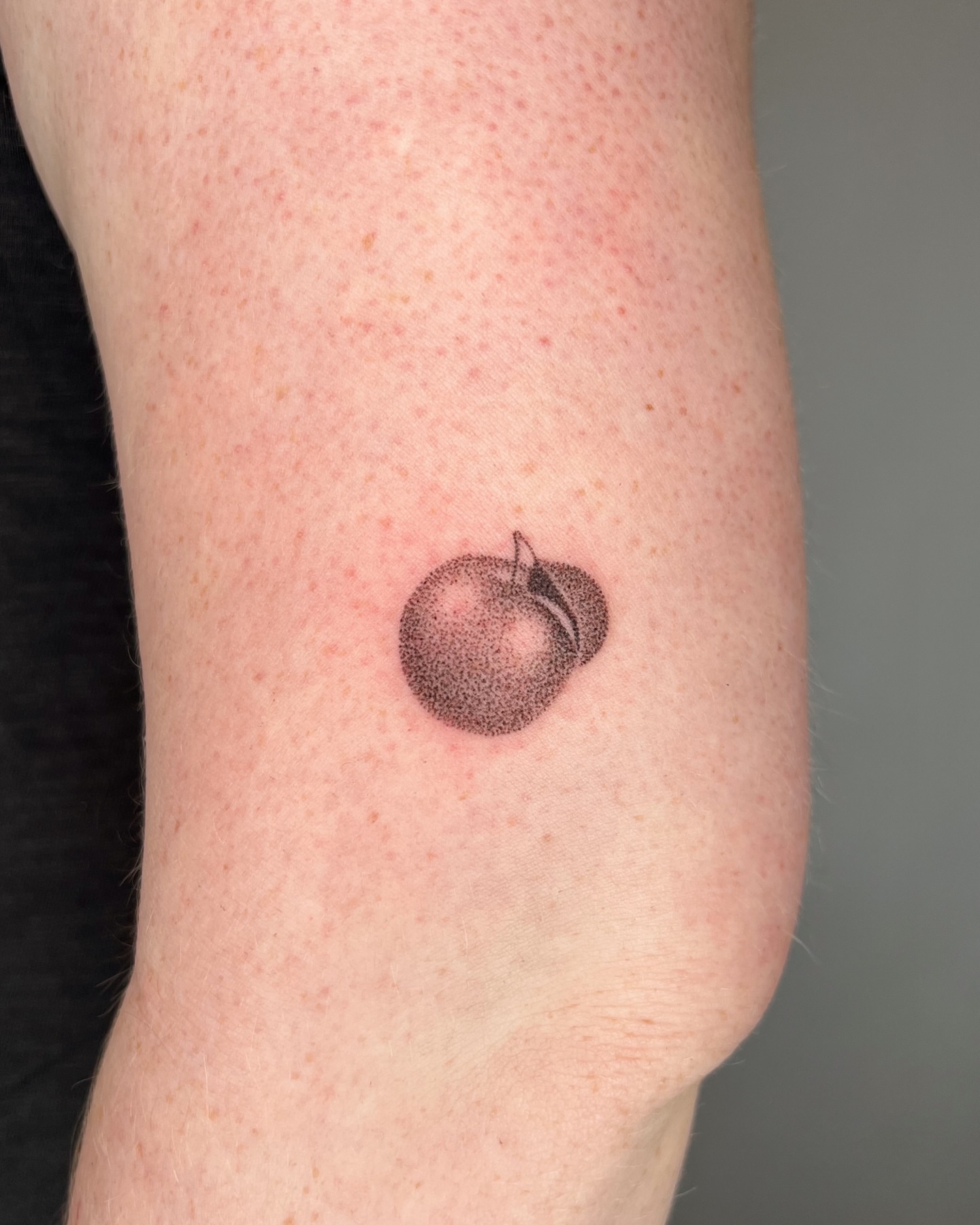 Apple dotwork tattoo on the forearm by kait ❃ hartman