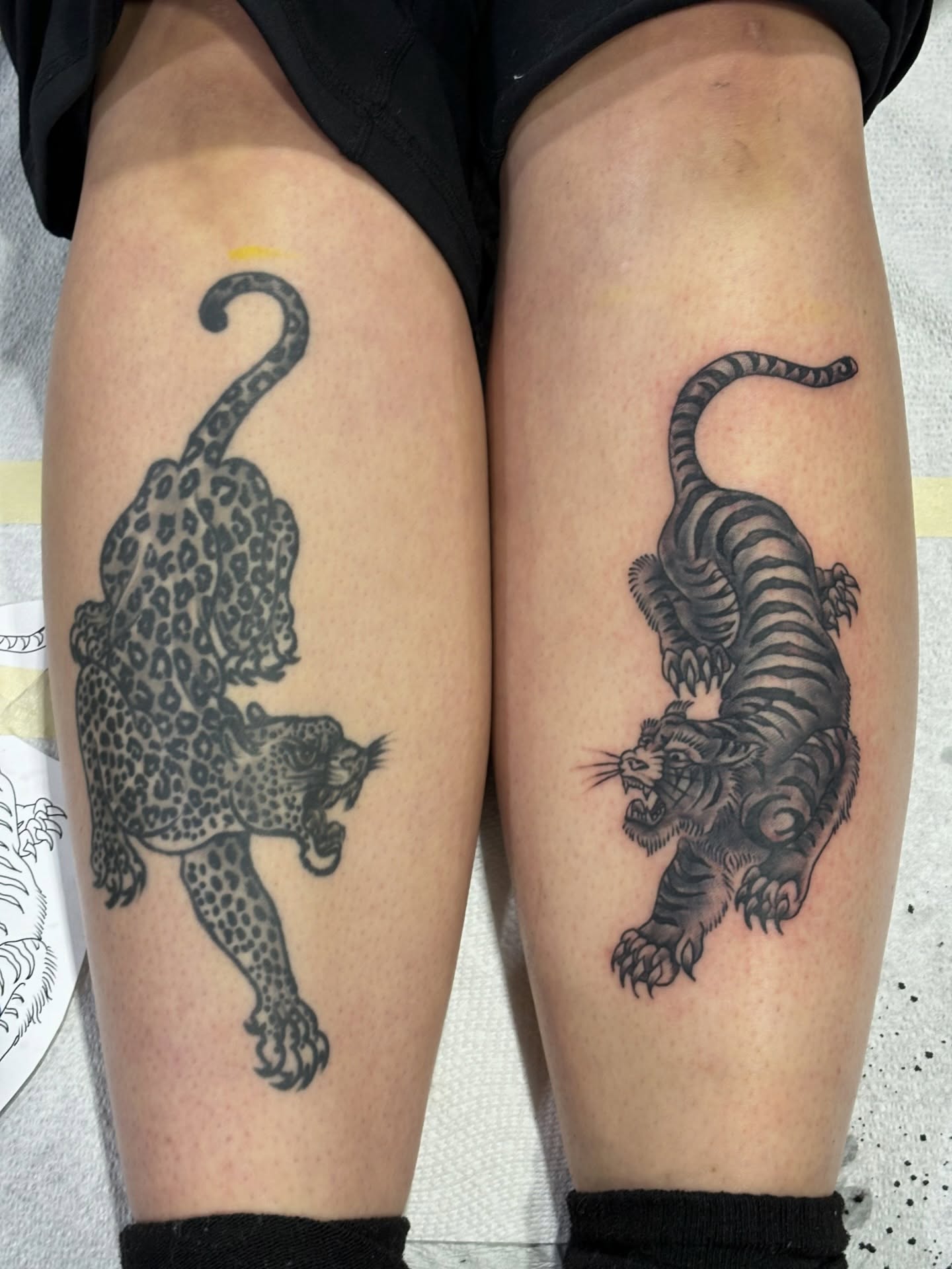 Leopard and tiger black and grey tattoo on the thigh by Francis Cassidy