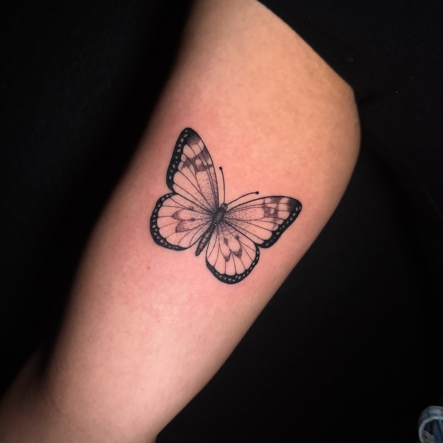 Butterfly dotwork tattoo on the forearm by Lauren B