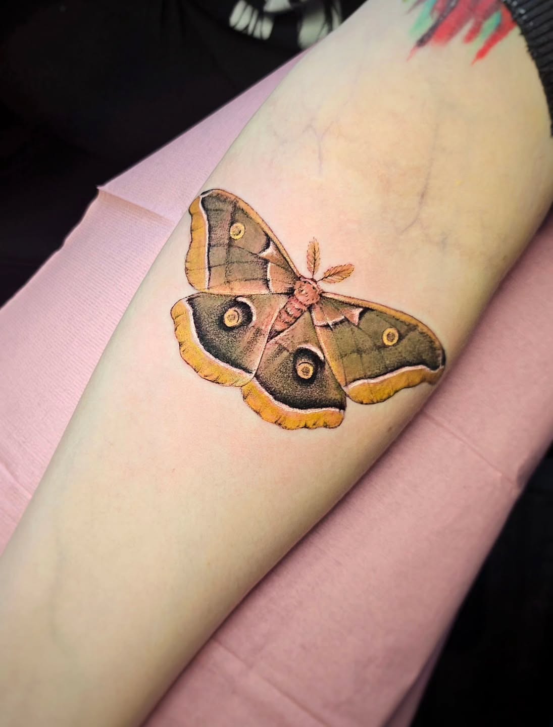 Tattoo by @prettiepluto — realism