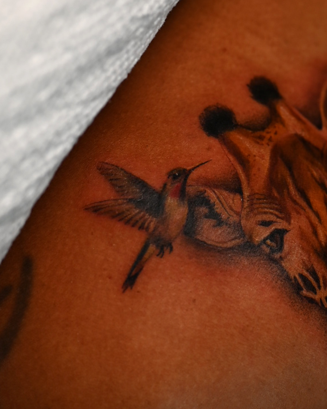 Hummingbird realism tattoo on the shoulder by San Diego Color Realism and Neotraditional