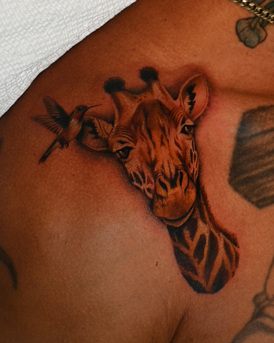 Giraffe realism tattoo on the shoulder by San Diego Color Realism and Neotraditional