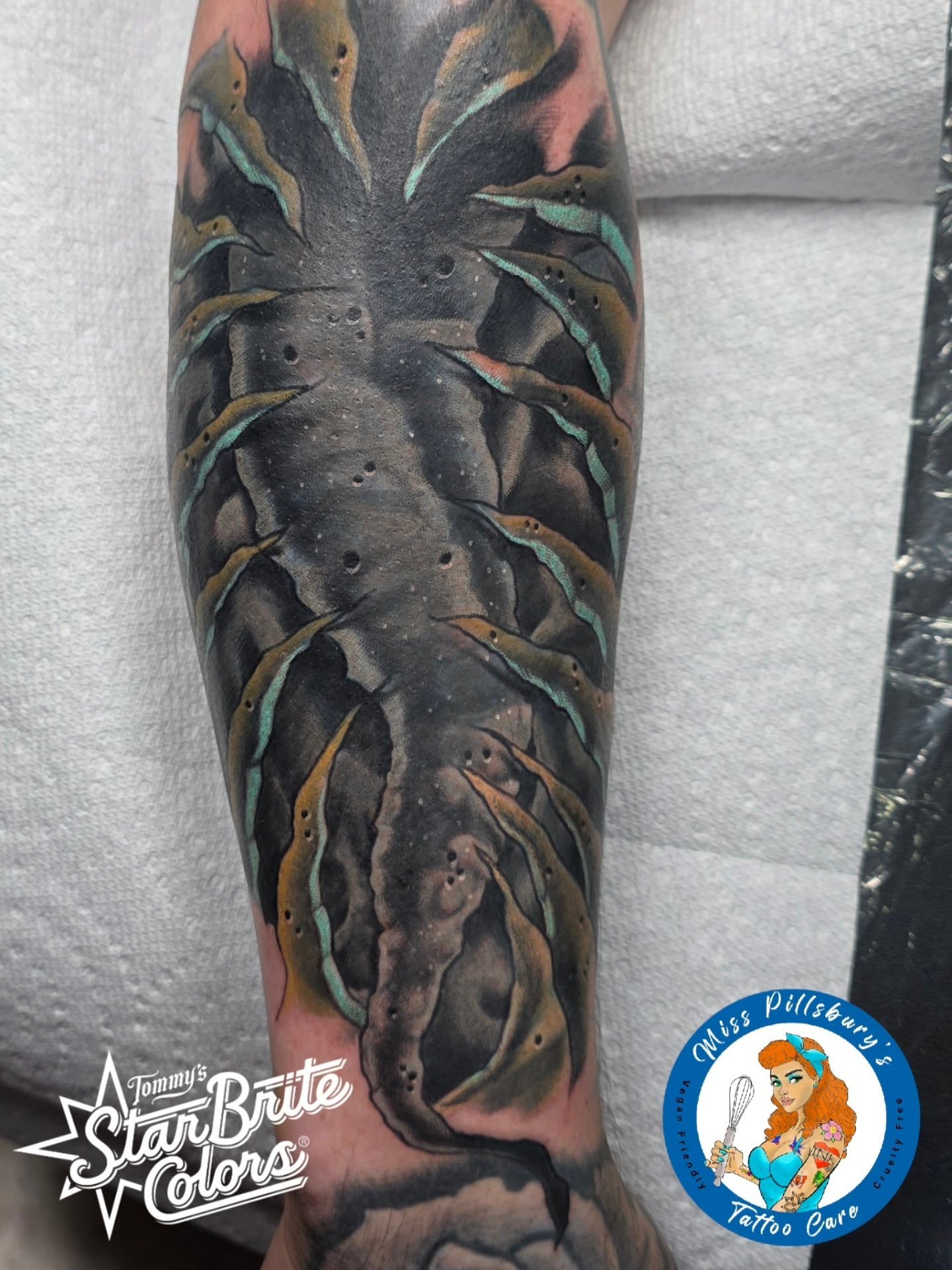 Pineapple realism tattoo on the forearm by Black Lantern Tattoo Company, Niantic, Connecticut