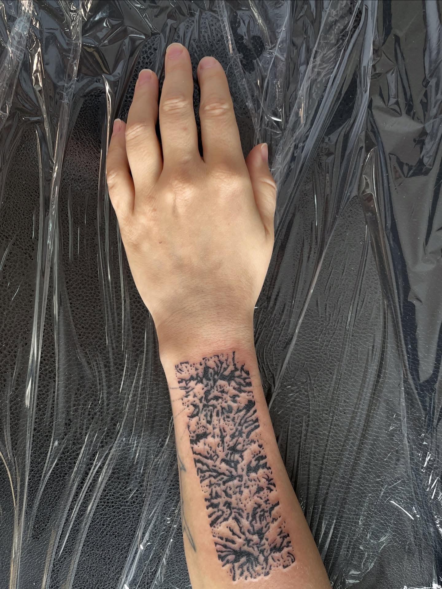 Tattoo by @kathrills — dotwork