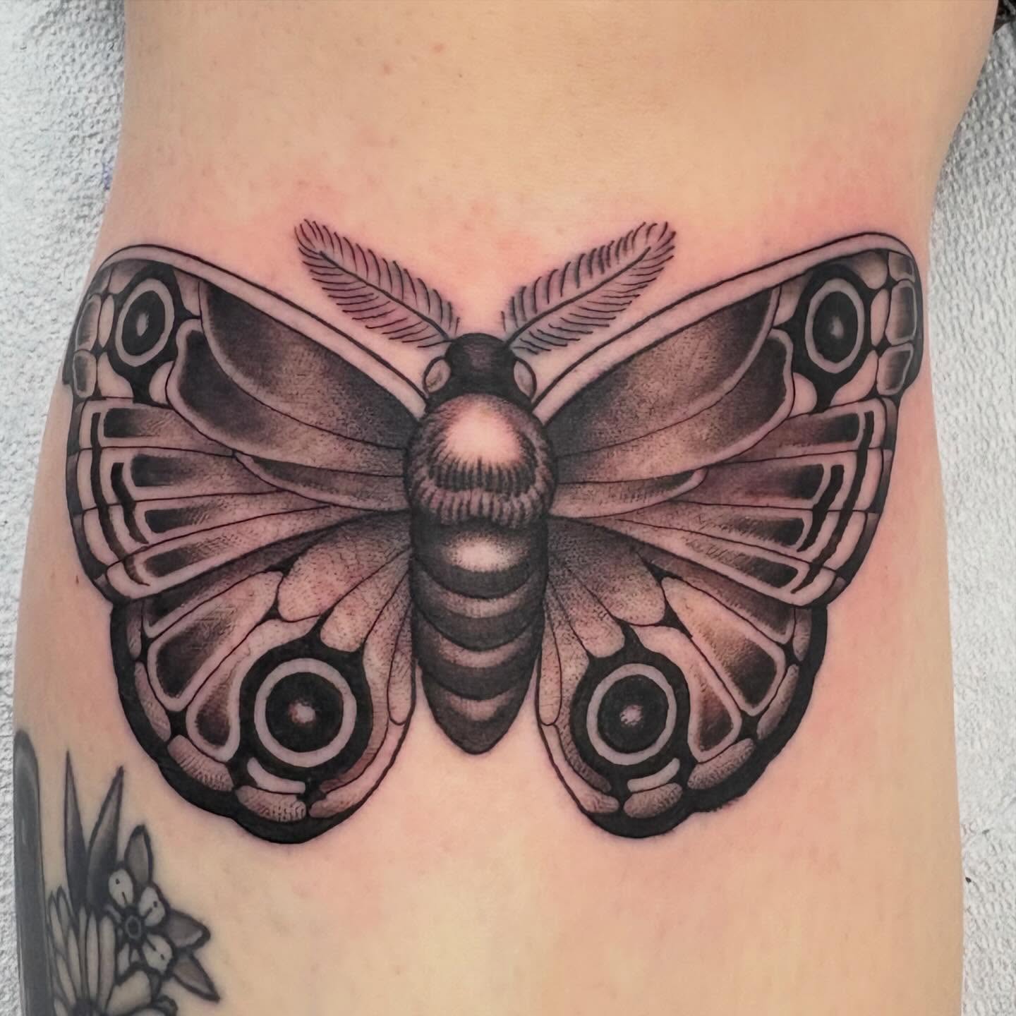 Butterfly black and grey tattoo on the forearm by Jakob Ristau, Kansas City, Missouri