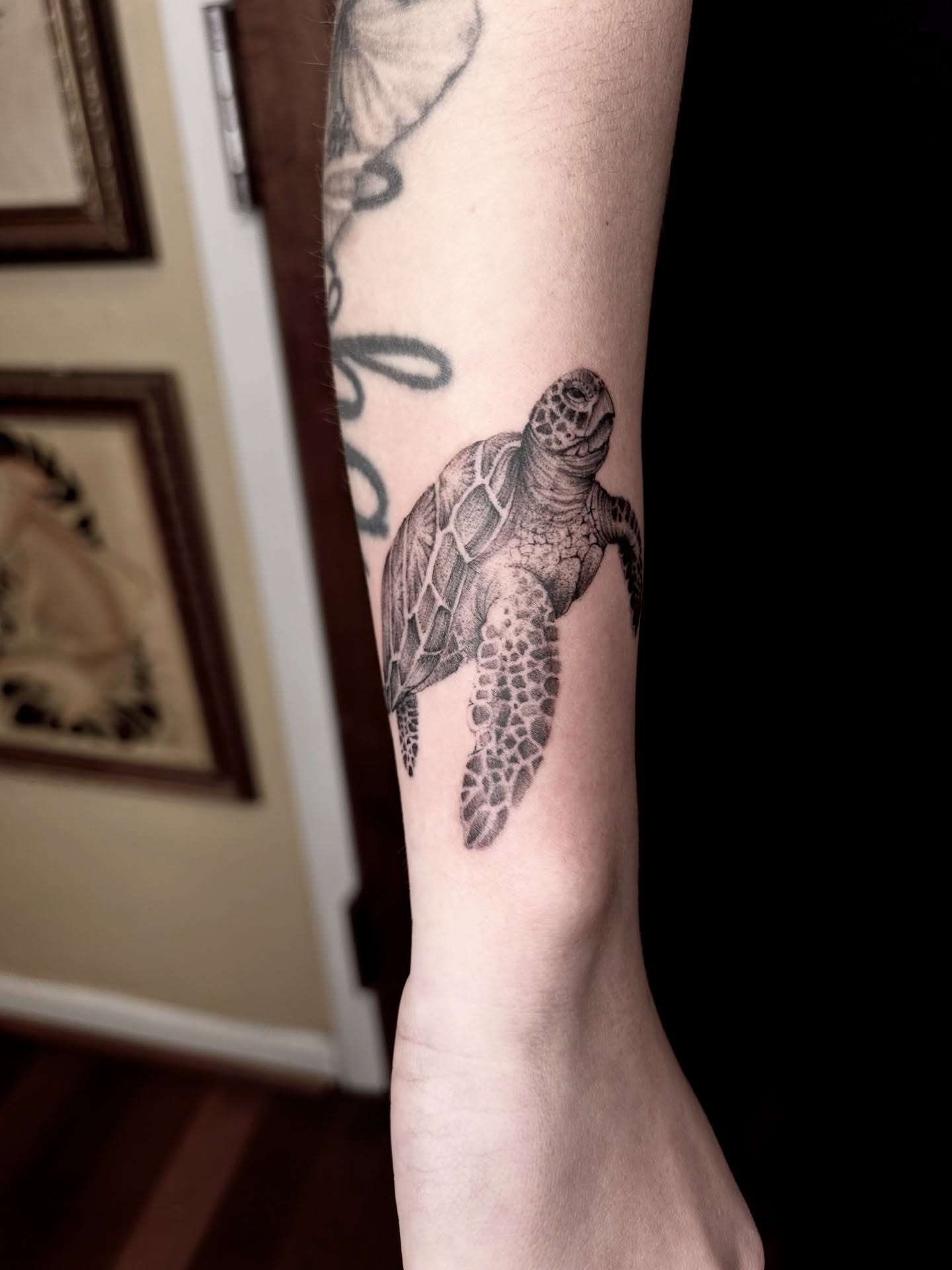 Turtle realism tattoo on the forearm by 𝕤𝕒𝕧𝕒𝕟𝕟𝕒