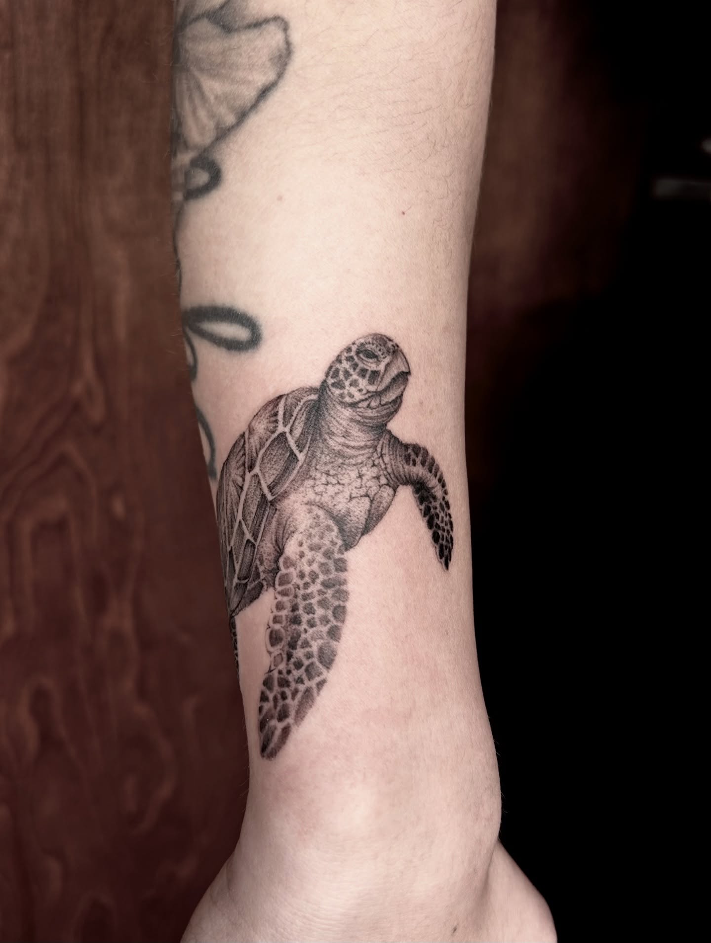Sea turtle realism tattoo on the forearm by 𝕤𝕒𝕧𝕒𝕟𝕟𝕒