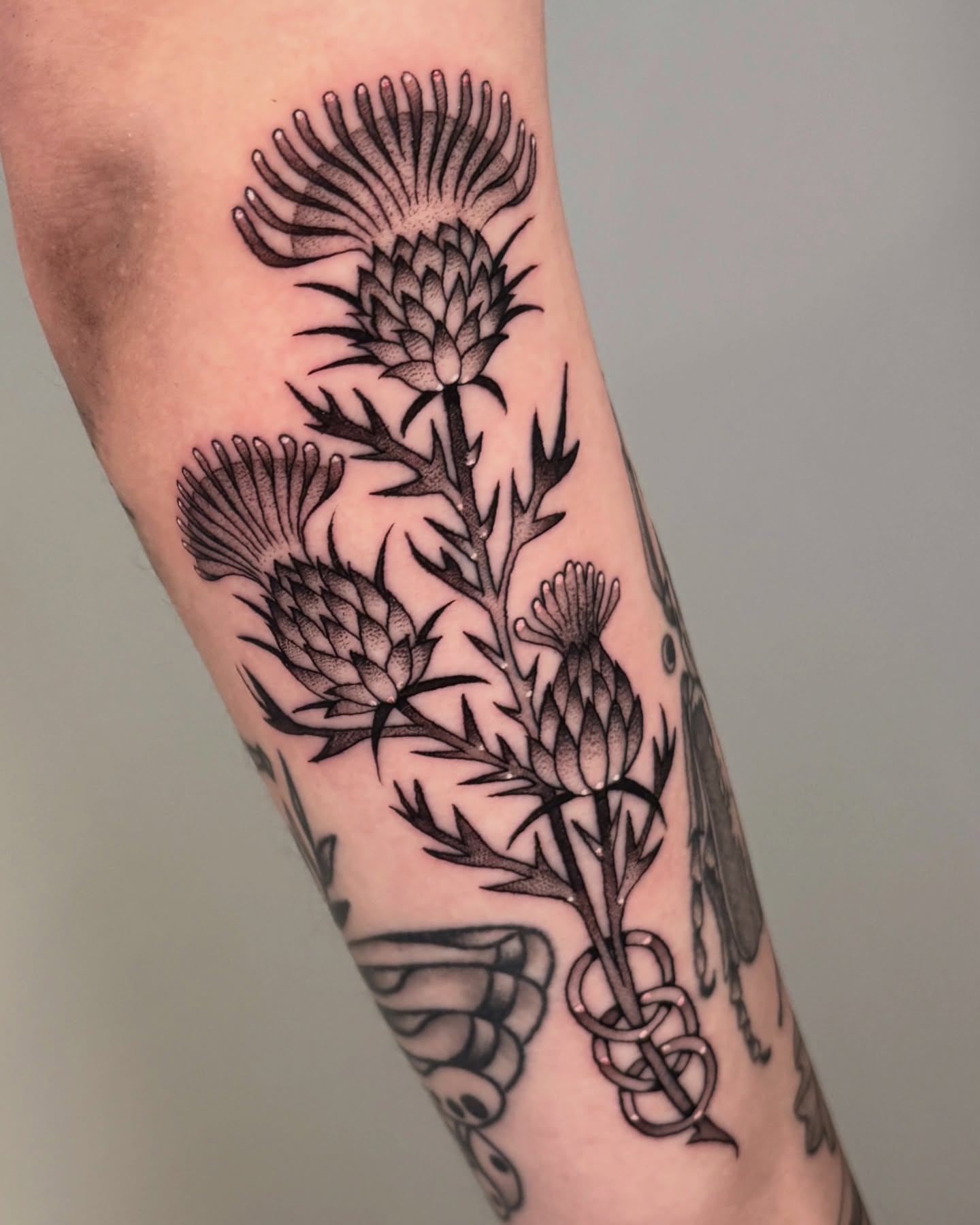 Thistle black and grey tattoo on the forearm by Connor🍄🏳️‍⚧️