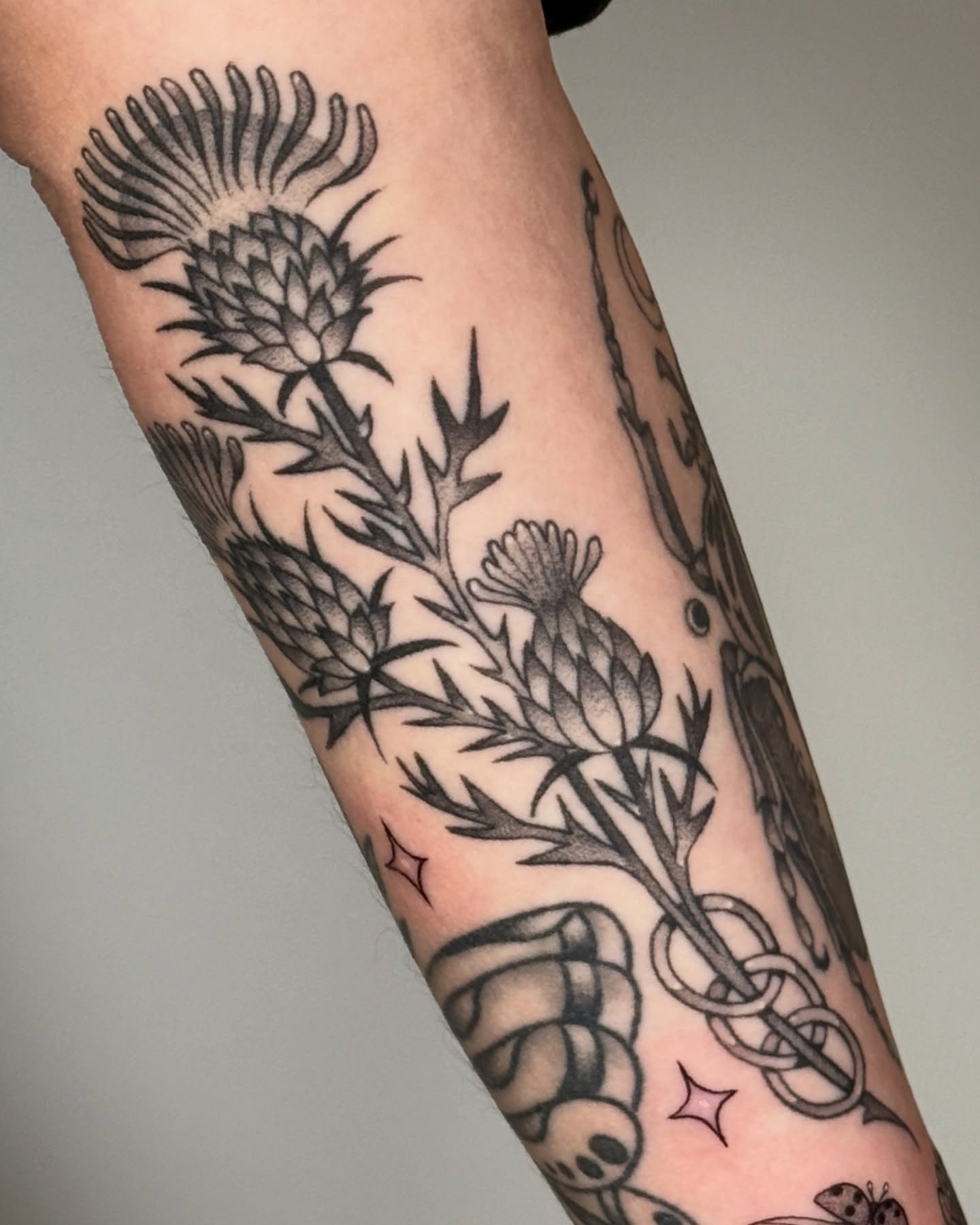 Thistle black and grey tattoo on the forearm by Connor🍄🏳️‍⚧️