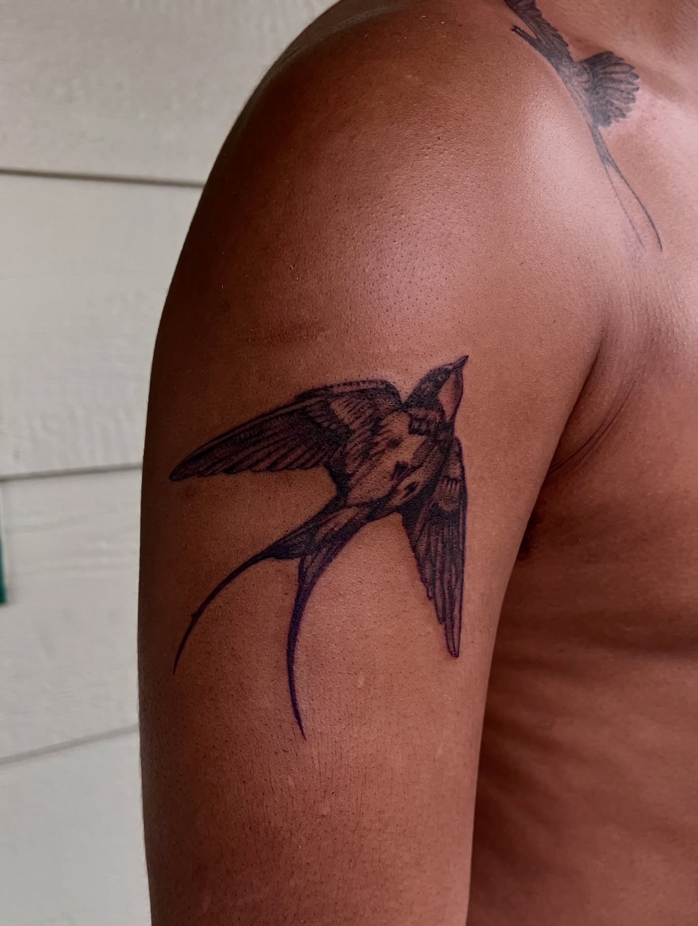 Swallow black and grey tattoo on the shoulder by Maddy Paige