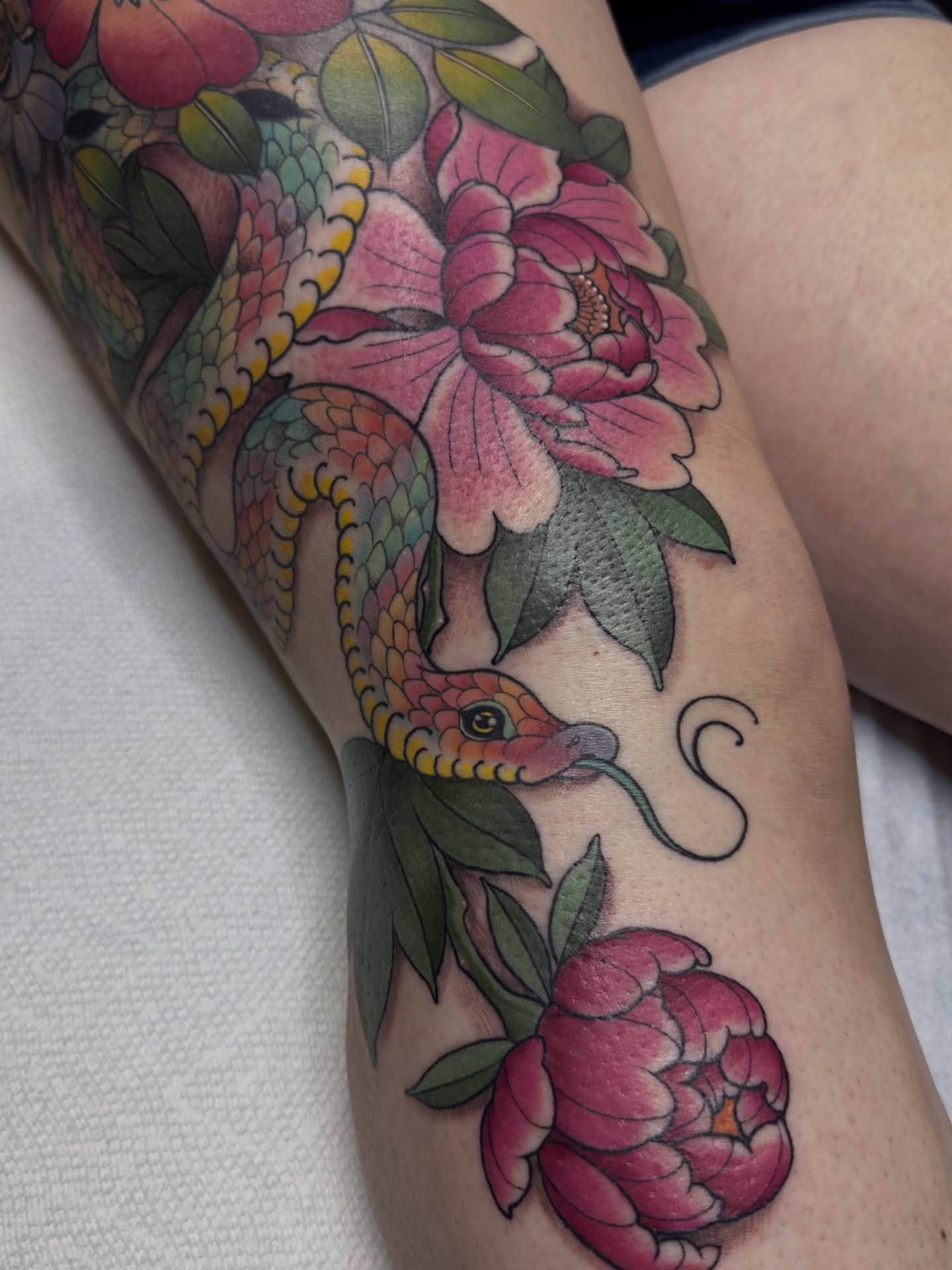 Tattoo by @tiffany.btattoos — american_traditional