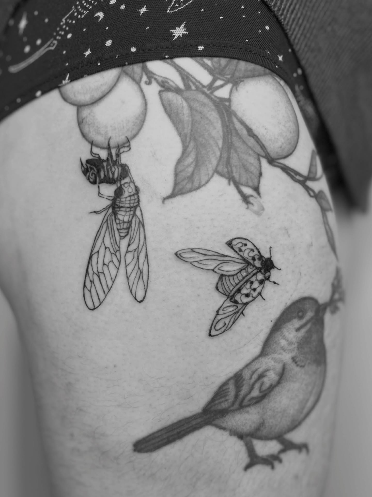 Insects and bird realism tattoo on the thigh by Sarah