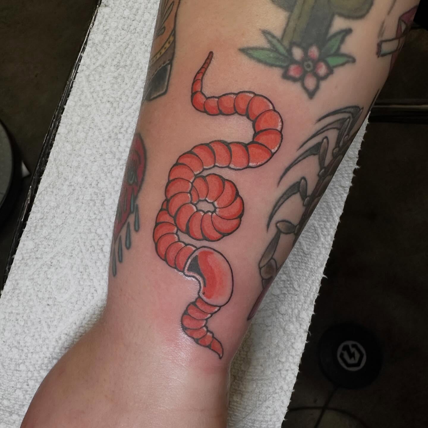 Tattoo by @sierra_does_tattoos — american_traditional