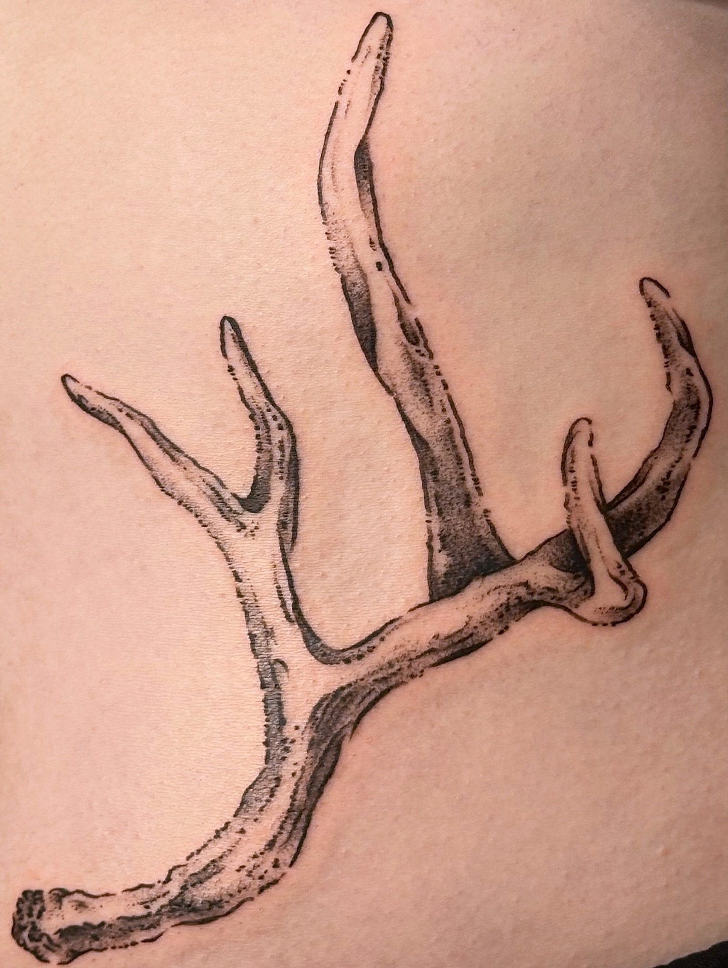 Antlers black and grey tattoo on the forearm by ๐ฐ ๐ต๐๐๐๐๐ ๐ฐ