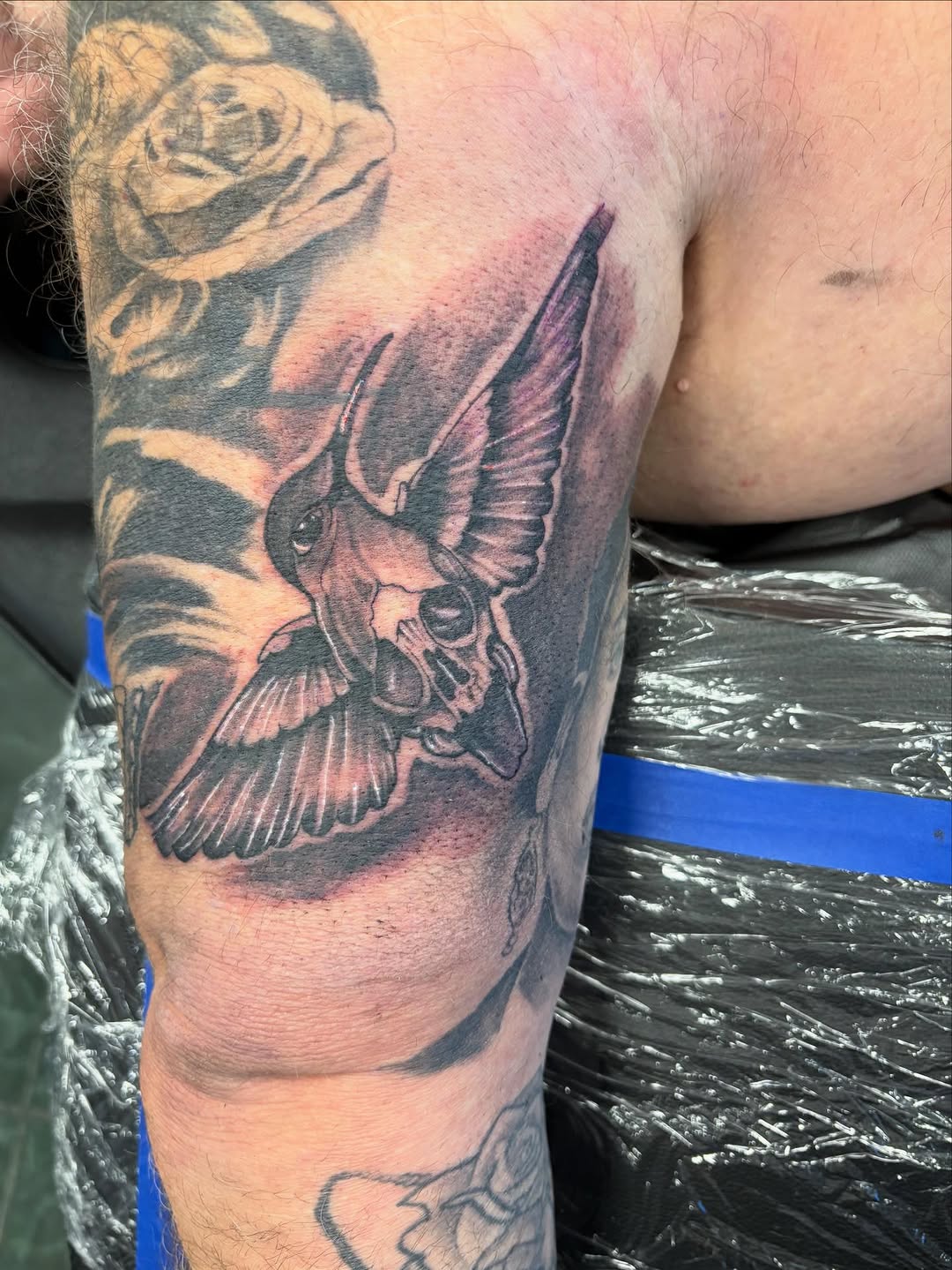 Hummingbird skull realism tattoo on the forearm by @inkwitatlas