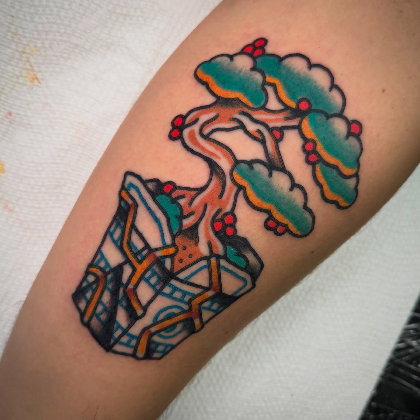 Tree with fruit American traditional tattoo on the forearm by Rafael Torres, San Francisco, California