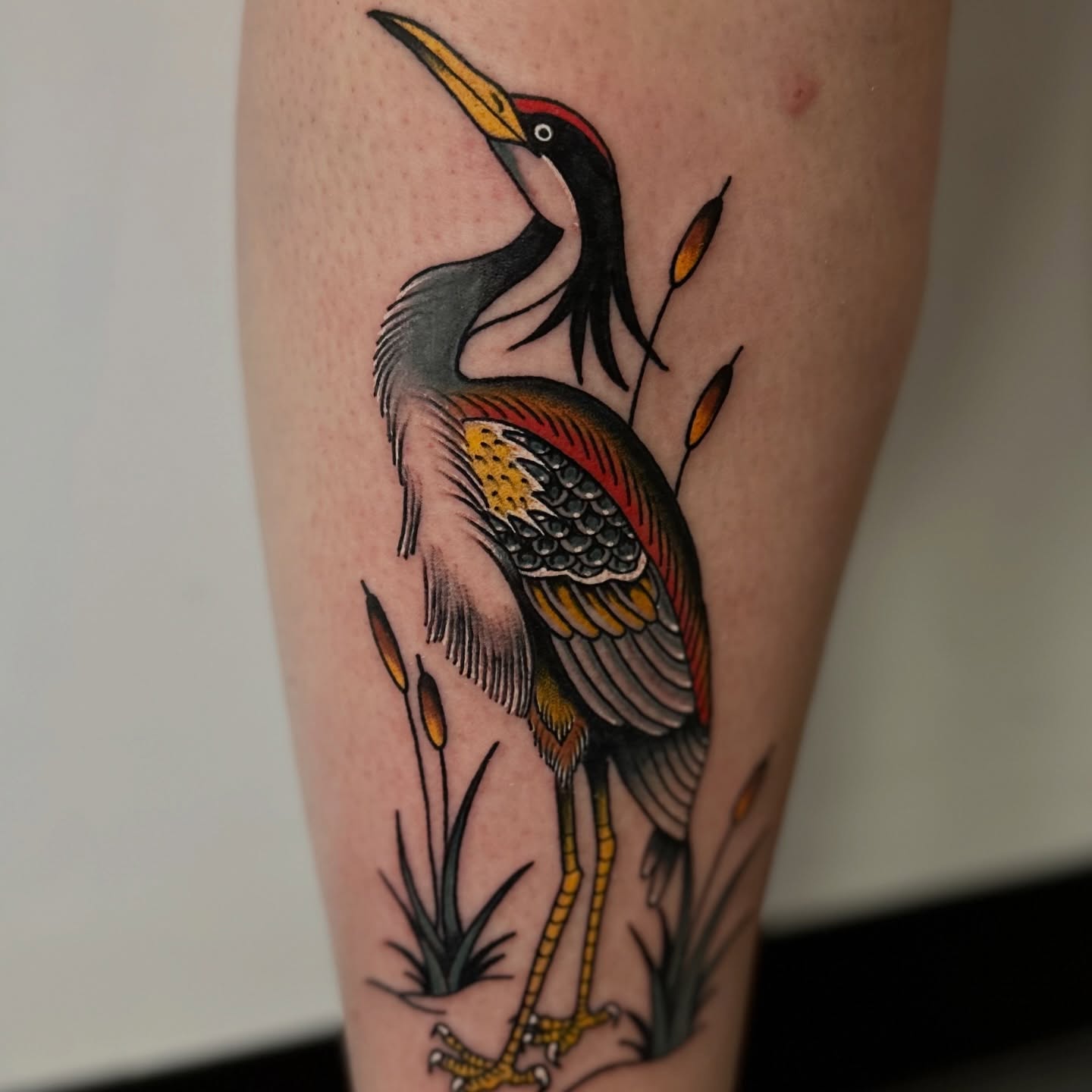 Heron American traditional tattoo on the forearm by Nick Weaver aka gibby sometimes gilbert