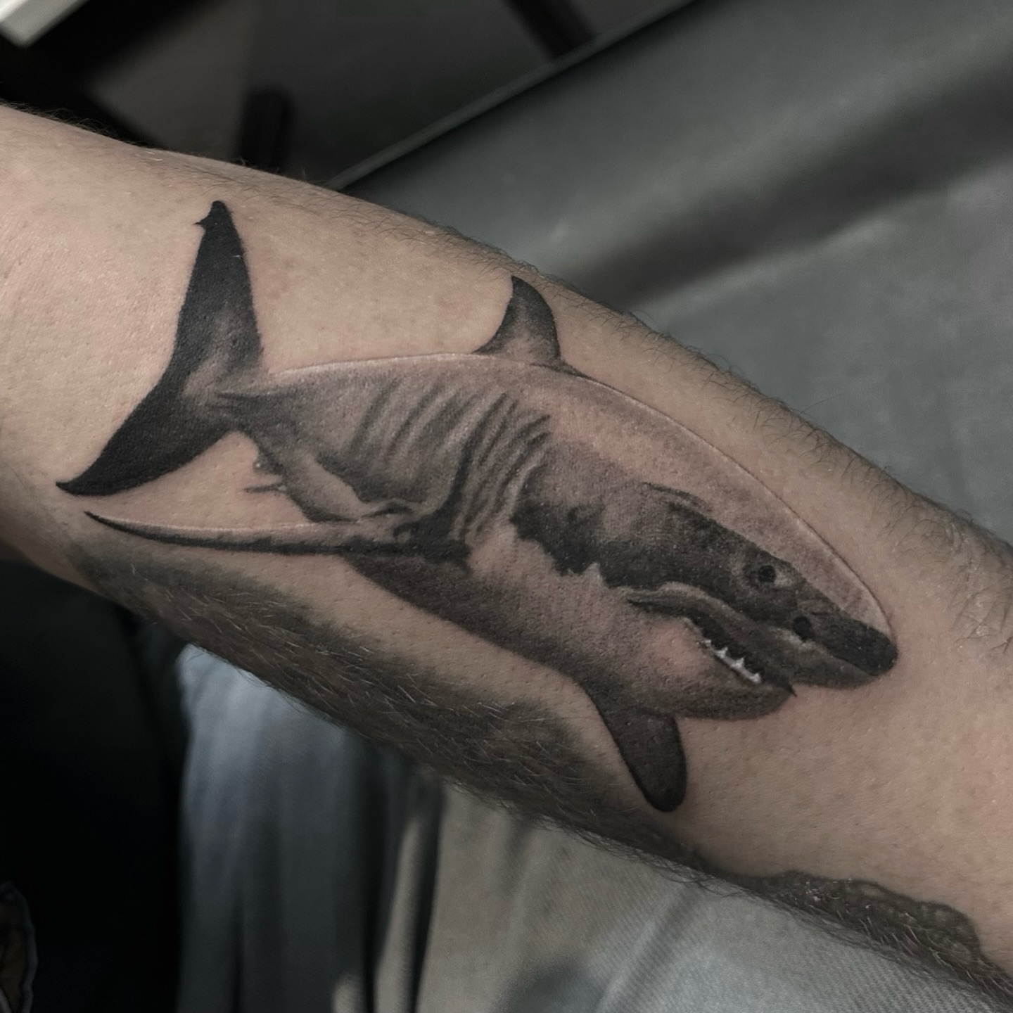 Great white shark realism tattoo on the forearm by Nick Weaver aka gibby sometimes gilbert