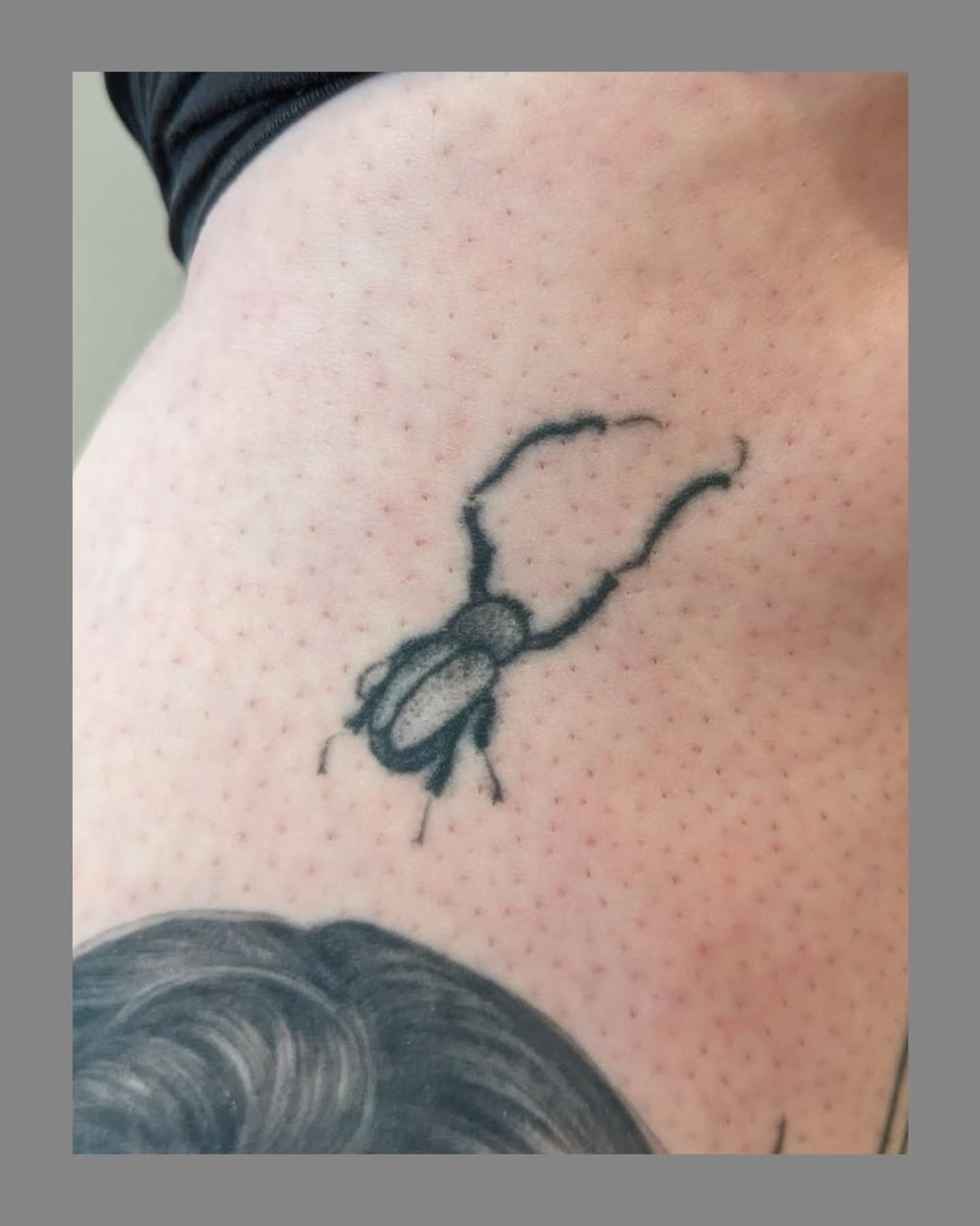 Beetle black and grey tattoo on the forearm by Marria