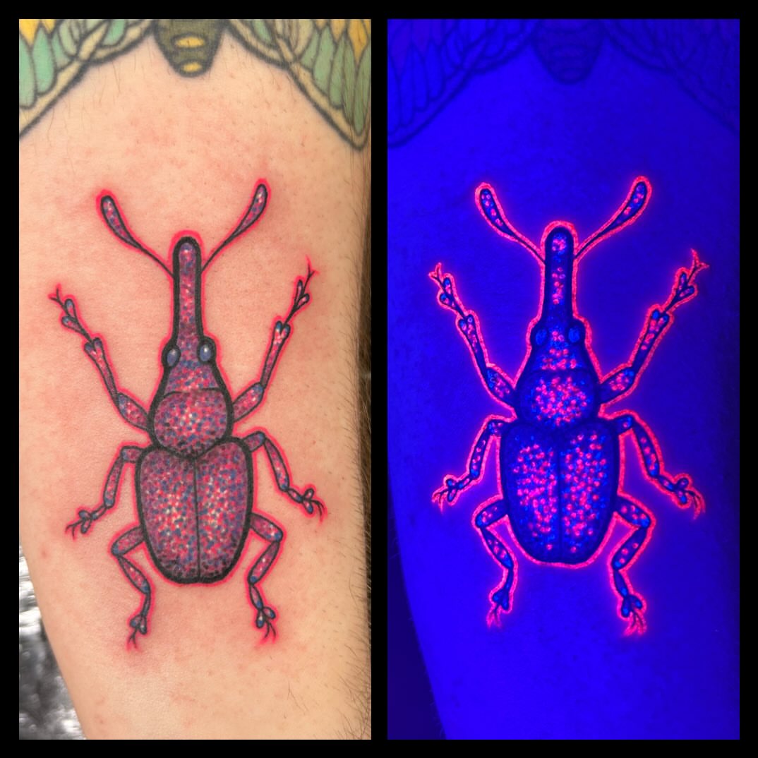 Weevil dotwork tattoo on the forearm by Mary Rose Heckle