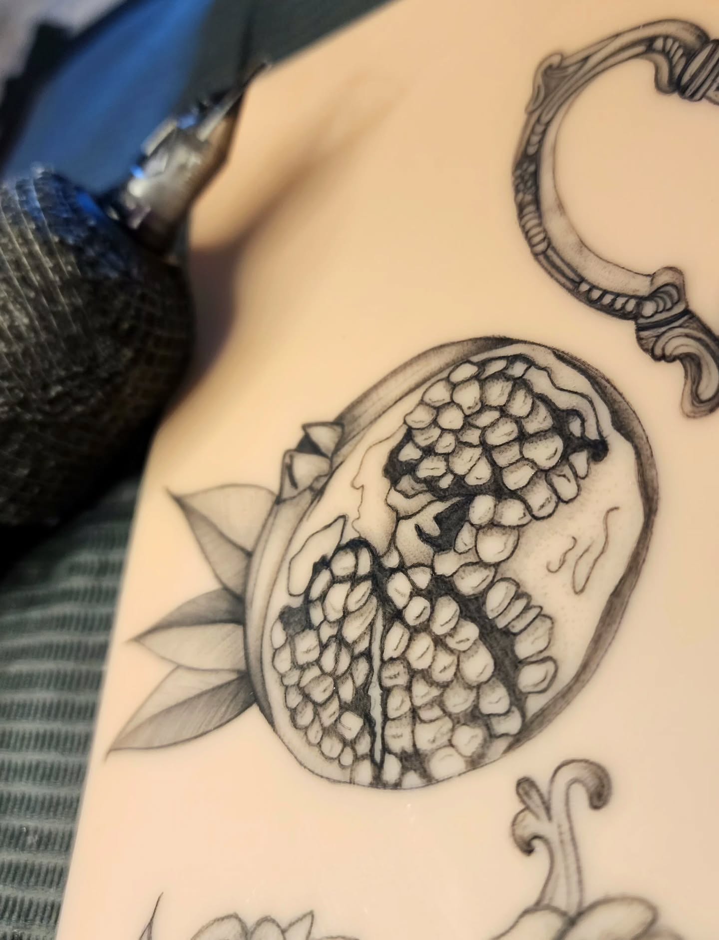 Pomegranate black and grey tattoo on the torso by Alex ▪︎ Tattoo Apprentice