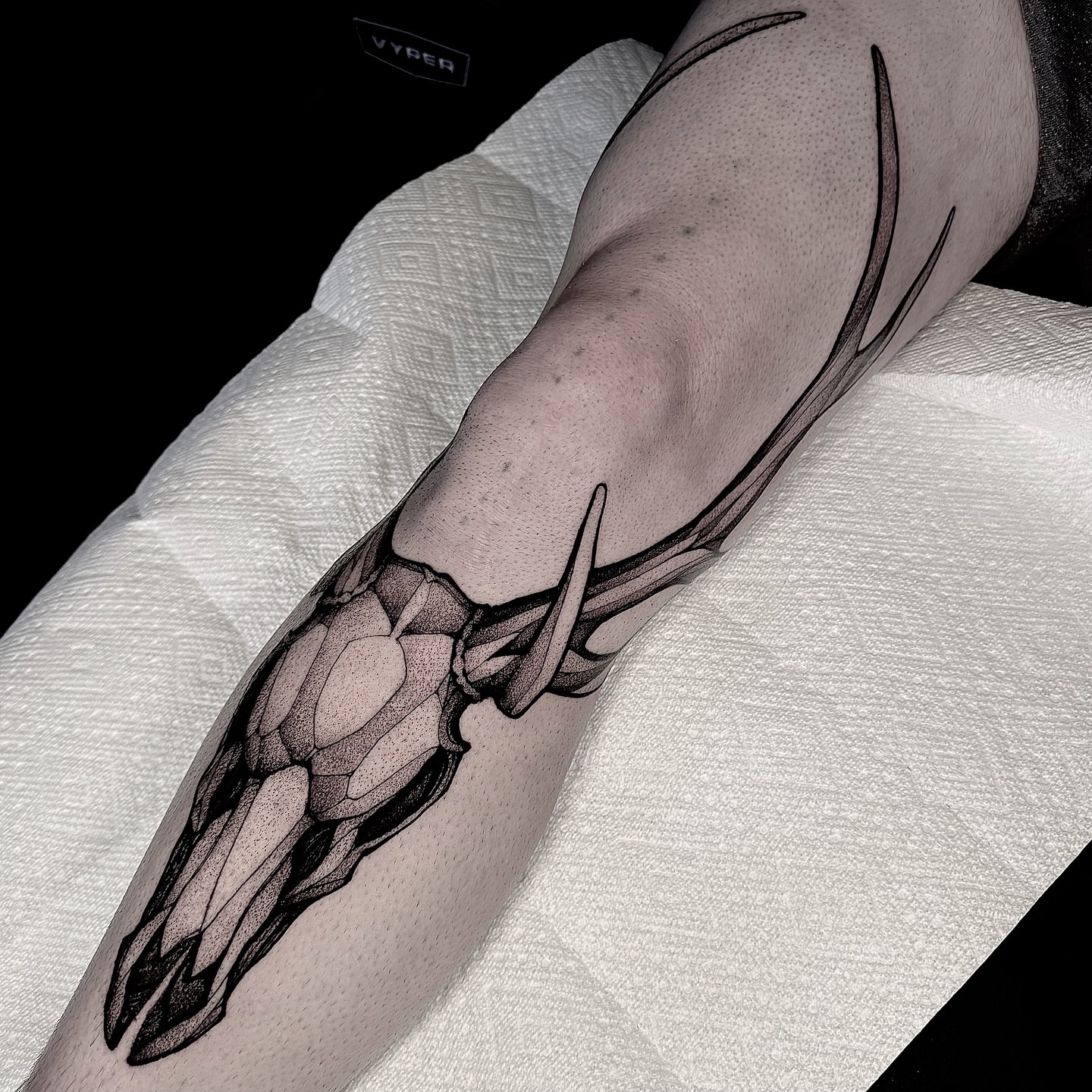 Bird skull dotwork tattoo on the forearm by Tommy Sisneros