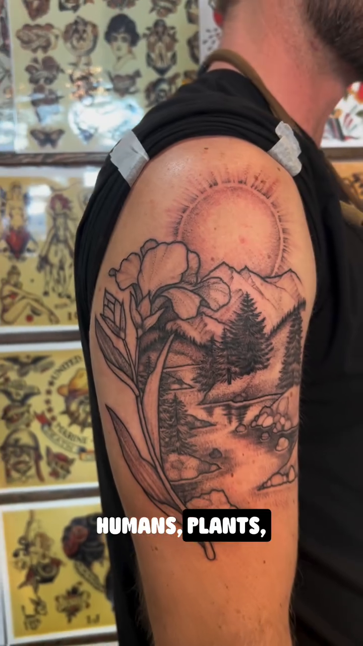 Forest landscape with sun sketch tattoo on the upper arm by Emily