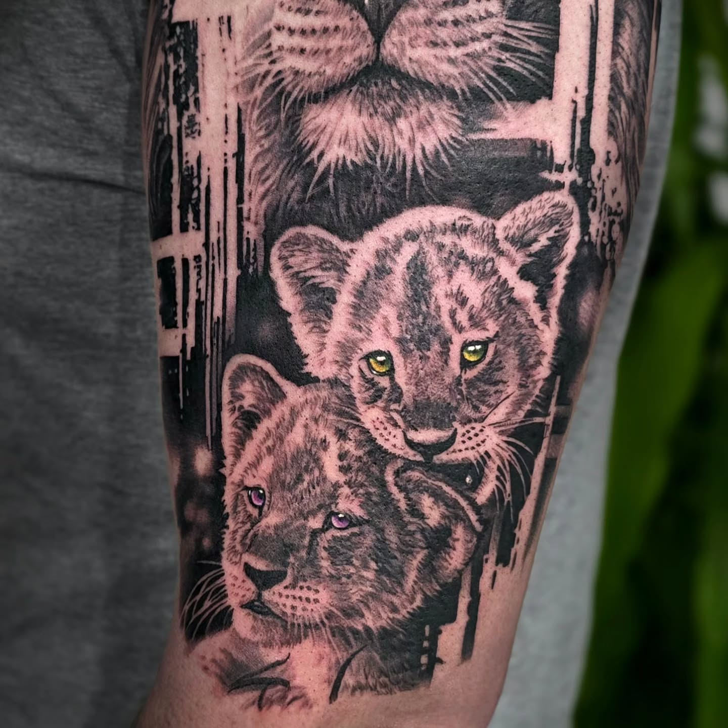 Snow leopards realism tattoo on the forearm by Julia Oravets