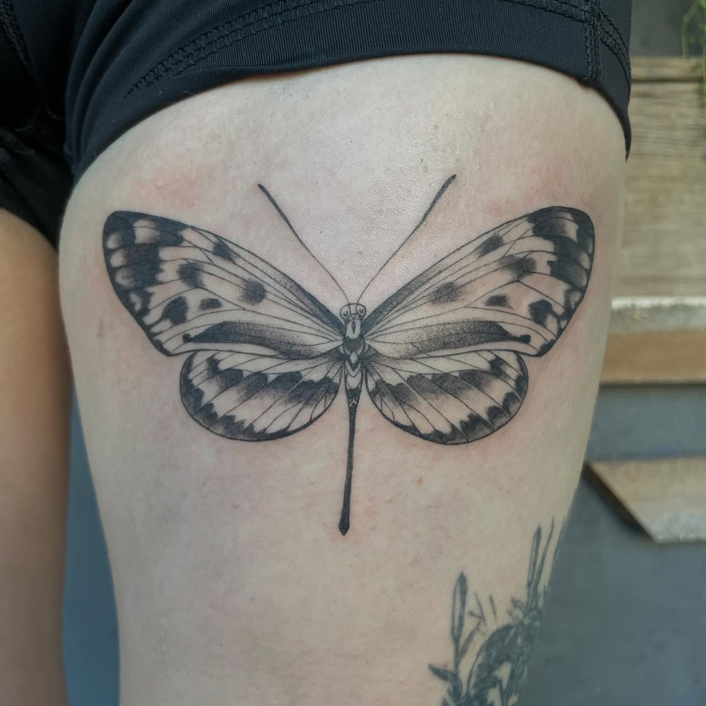 Butterfly realism tattoo on the thigh by Ally Easter, Berkeley, California
